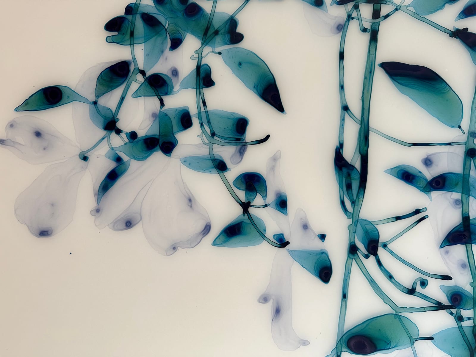 Jackie Battenfield, April Moon, 2023