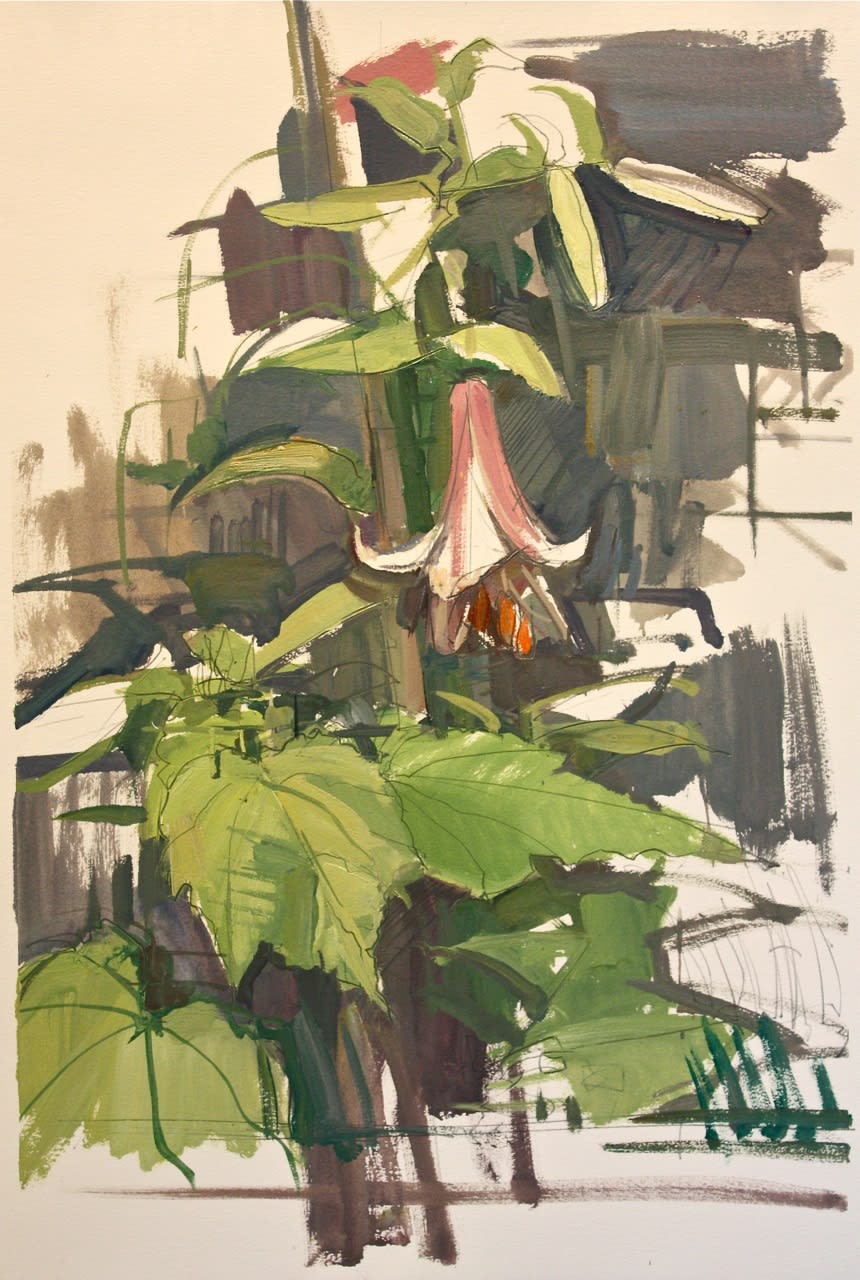 Francis Sills, Lily, 2014