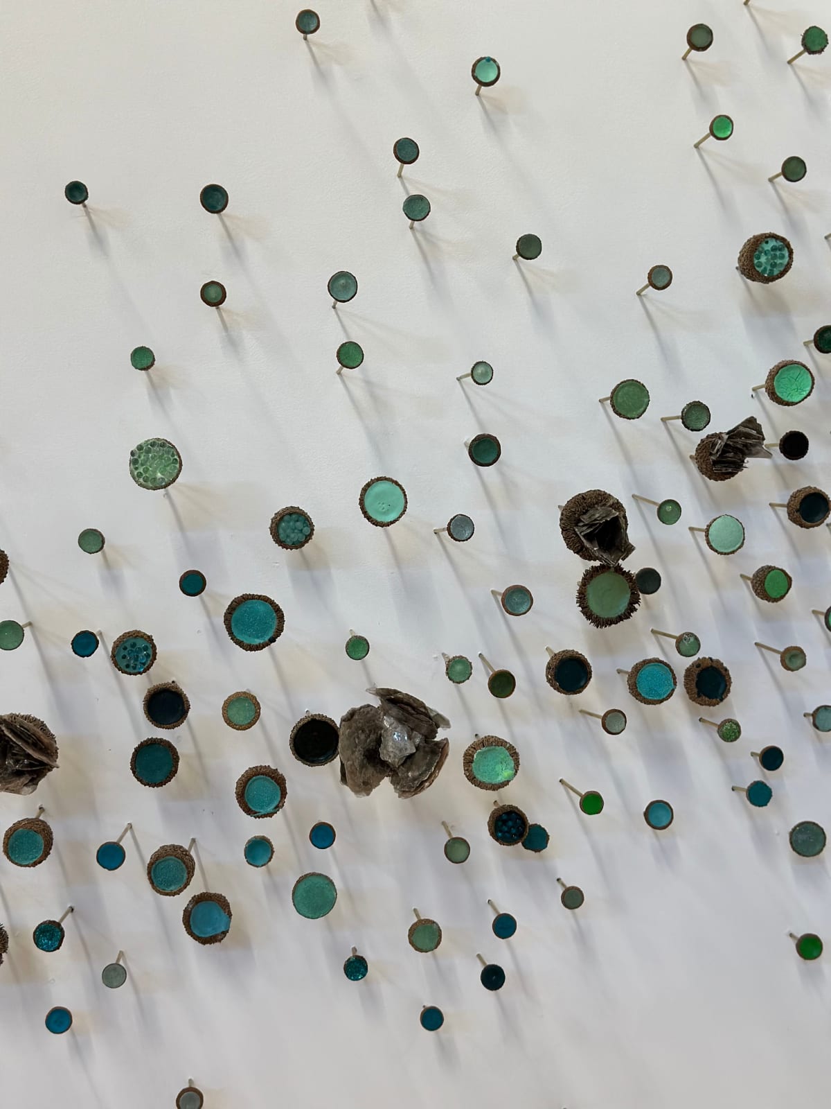 Julie Maren, Aquatic Garden, 2024
