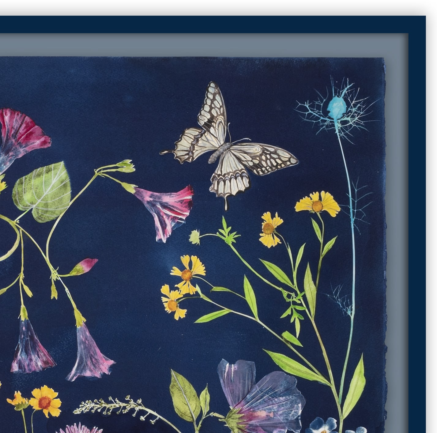 Julia Whitney Barnes, Cyanotype Painting (Morning Glories, Rose of Sharon, Hellenium, Swallowtail, etc.), 2021