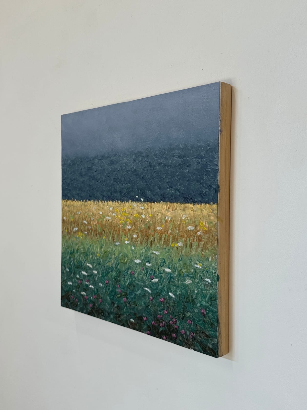 Thomas Sarrantonio, Field Painting August 7, 2023