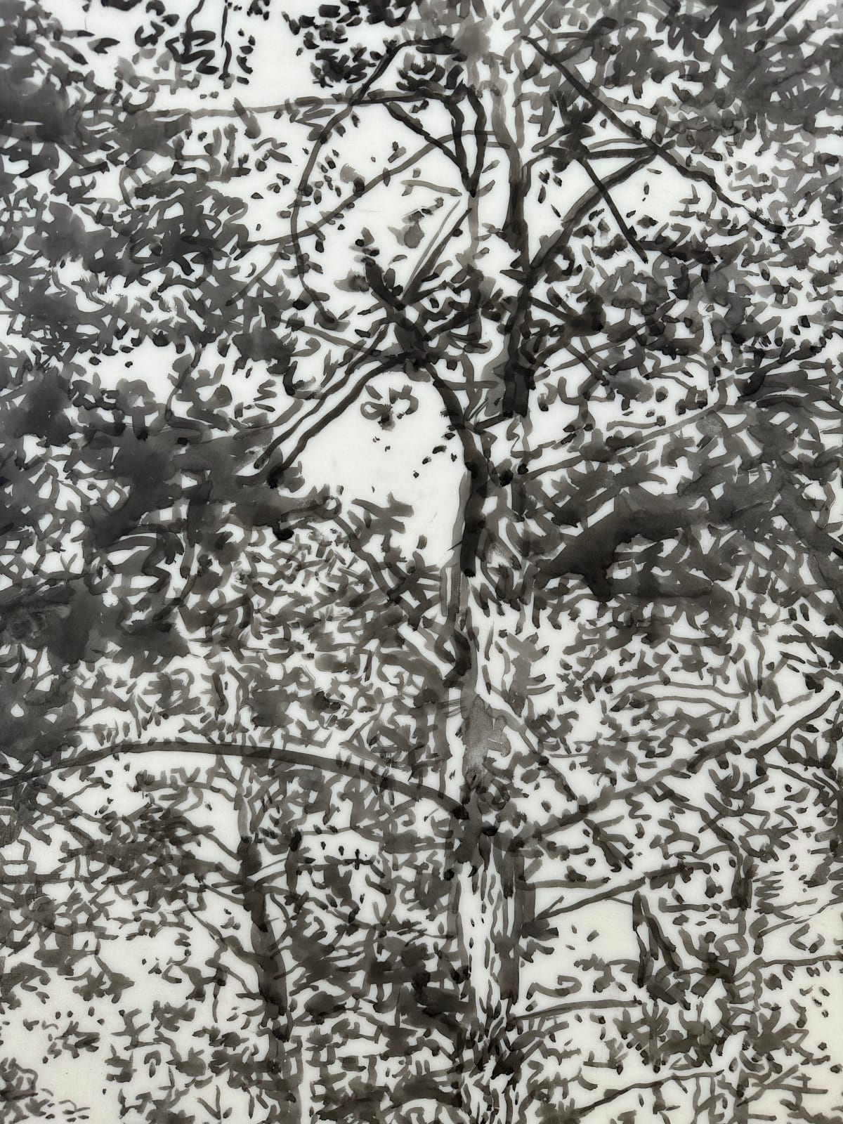 Andrea Kantrowitz, Woodland Creek, 2024