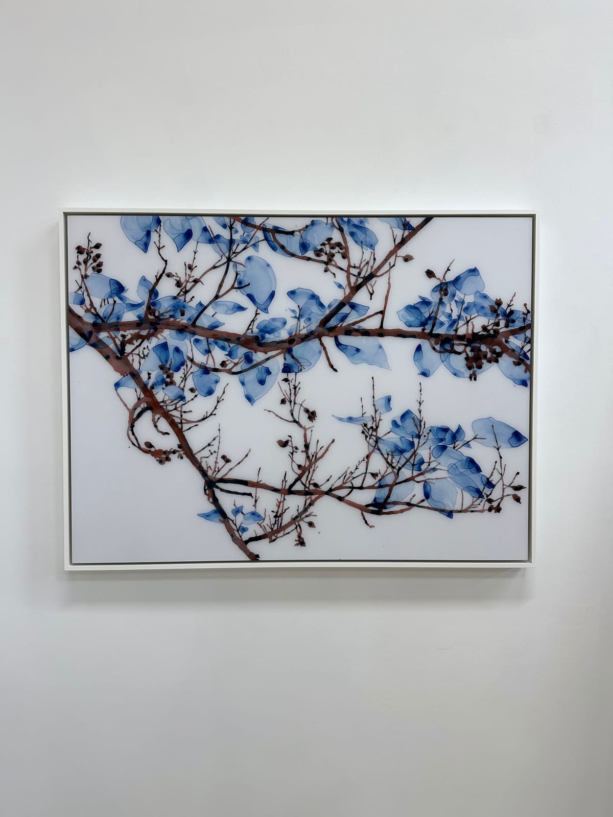 Jackie Battenfield, Unclouded cs1, 2022