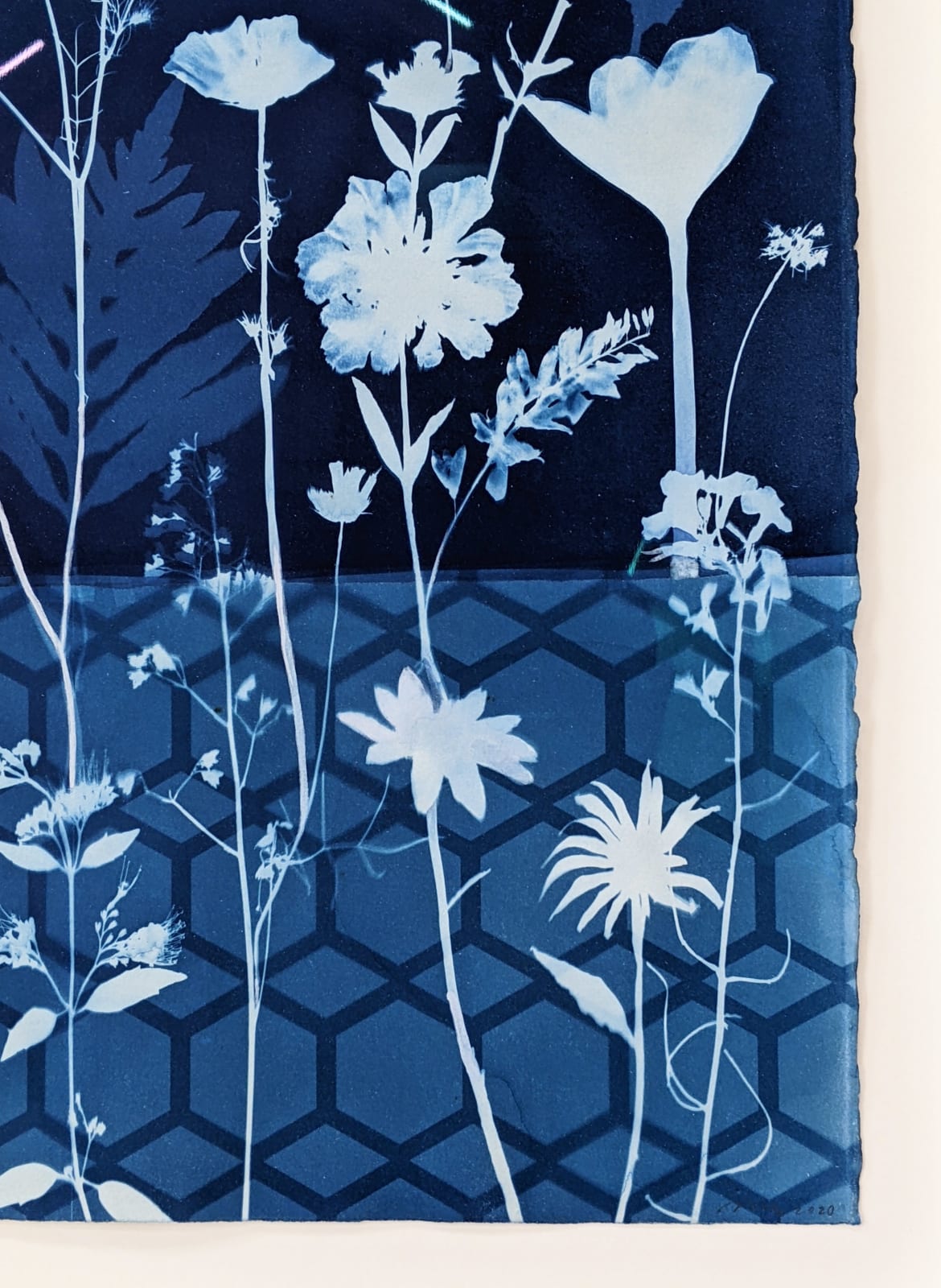 Julia Whitney Barnes, Cyanotype Painting (Crocus, Star Flower, Cosmos, Ferns, Diamond Hexagon Floor Pattern), 2021