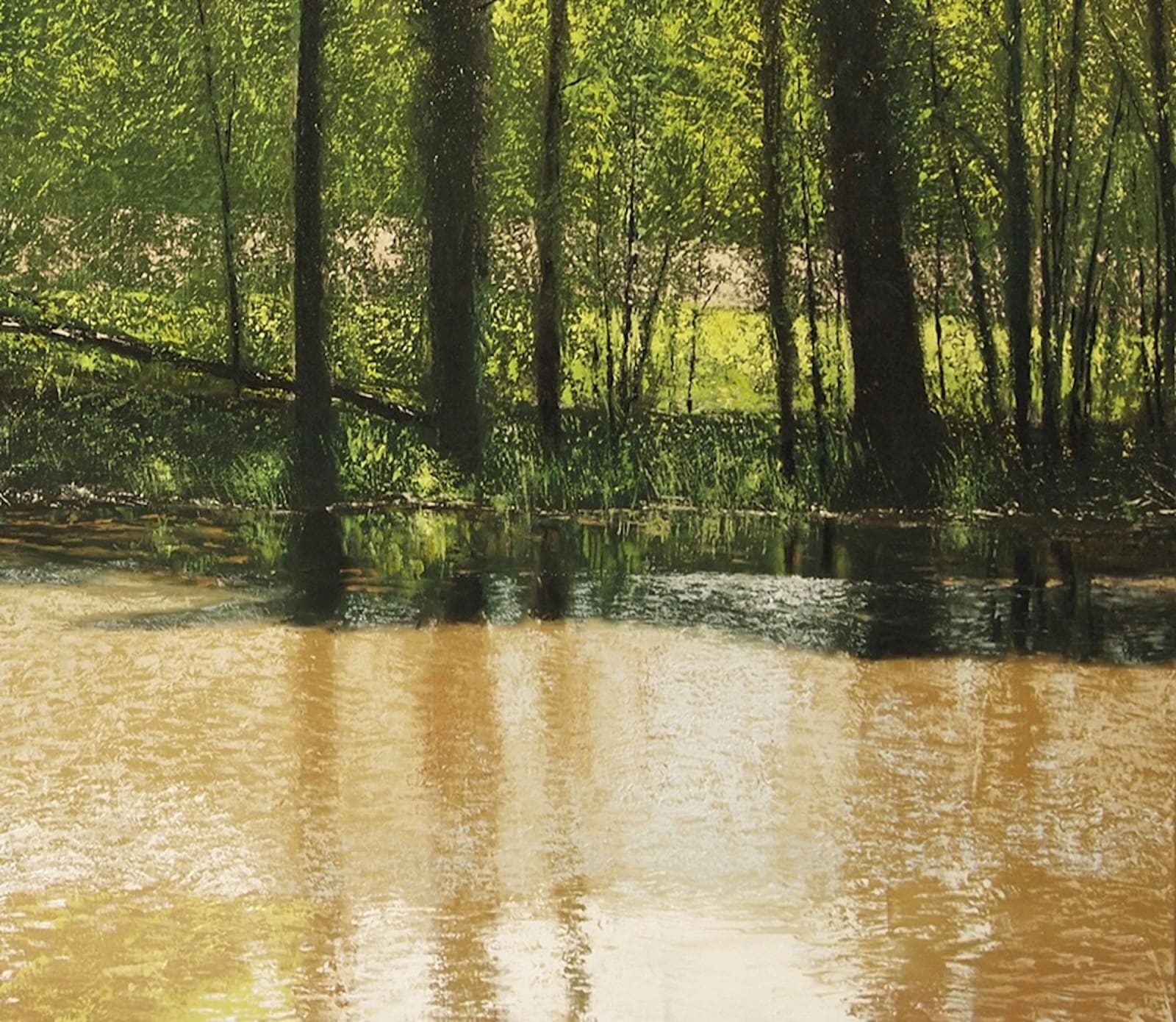 Benoît Trimborn, Riviere au Printemps IX