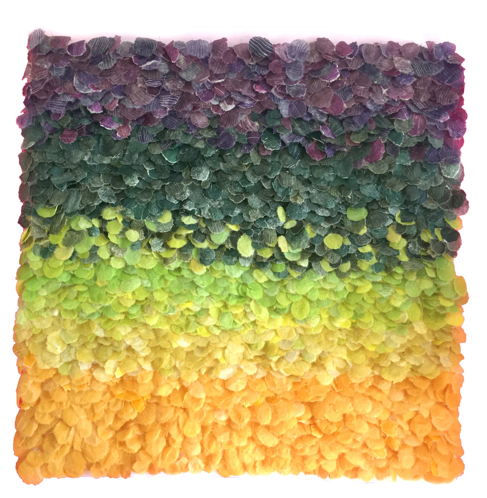 Jill Parisi, Vibrant Array, 2019