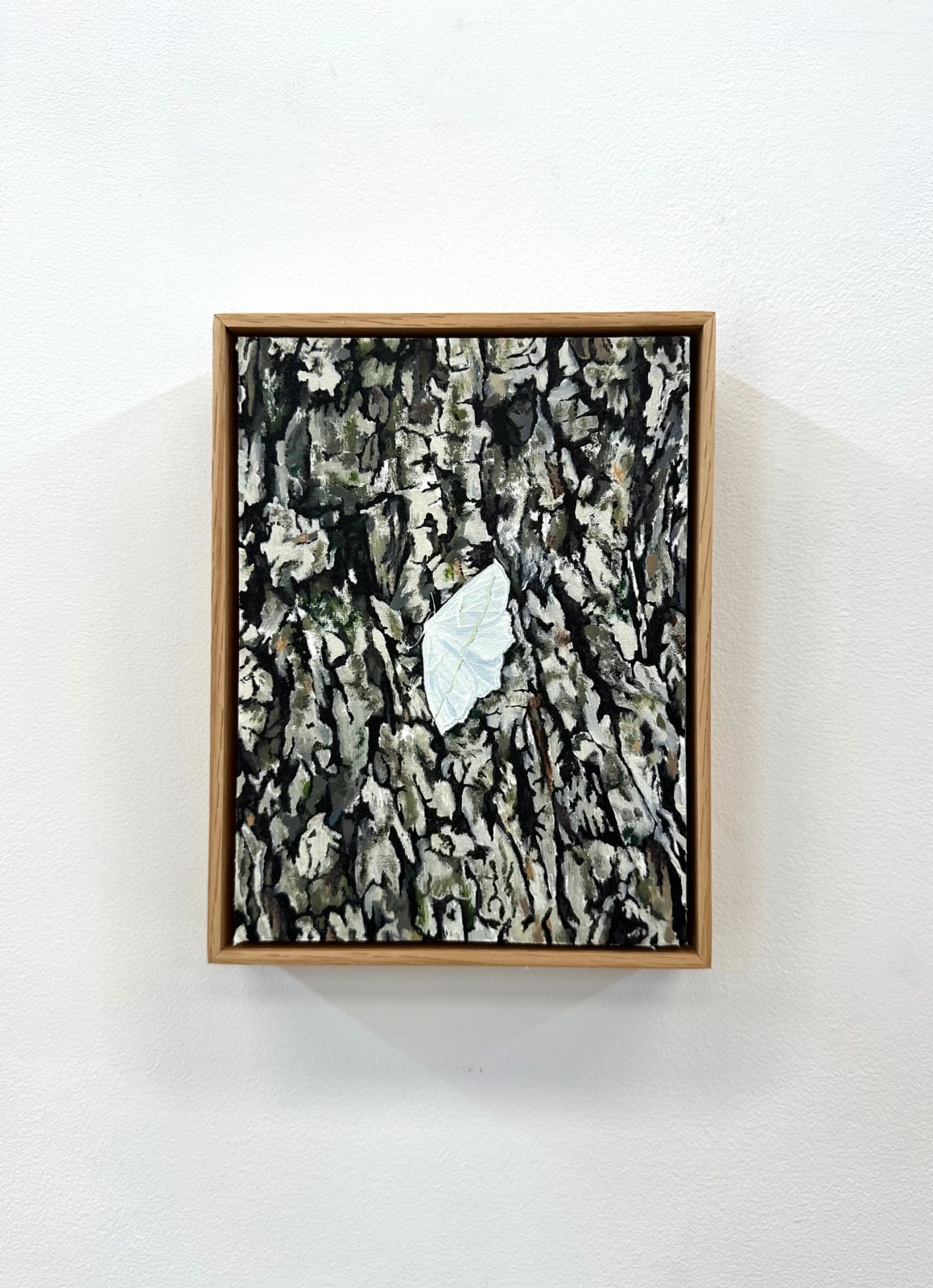 Amanda Acker, Pale Beauty, 2023