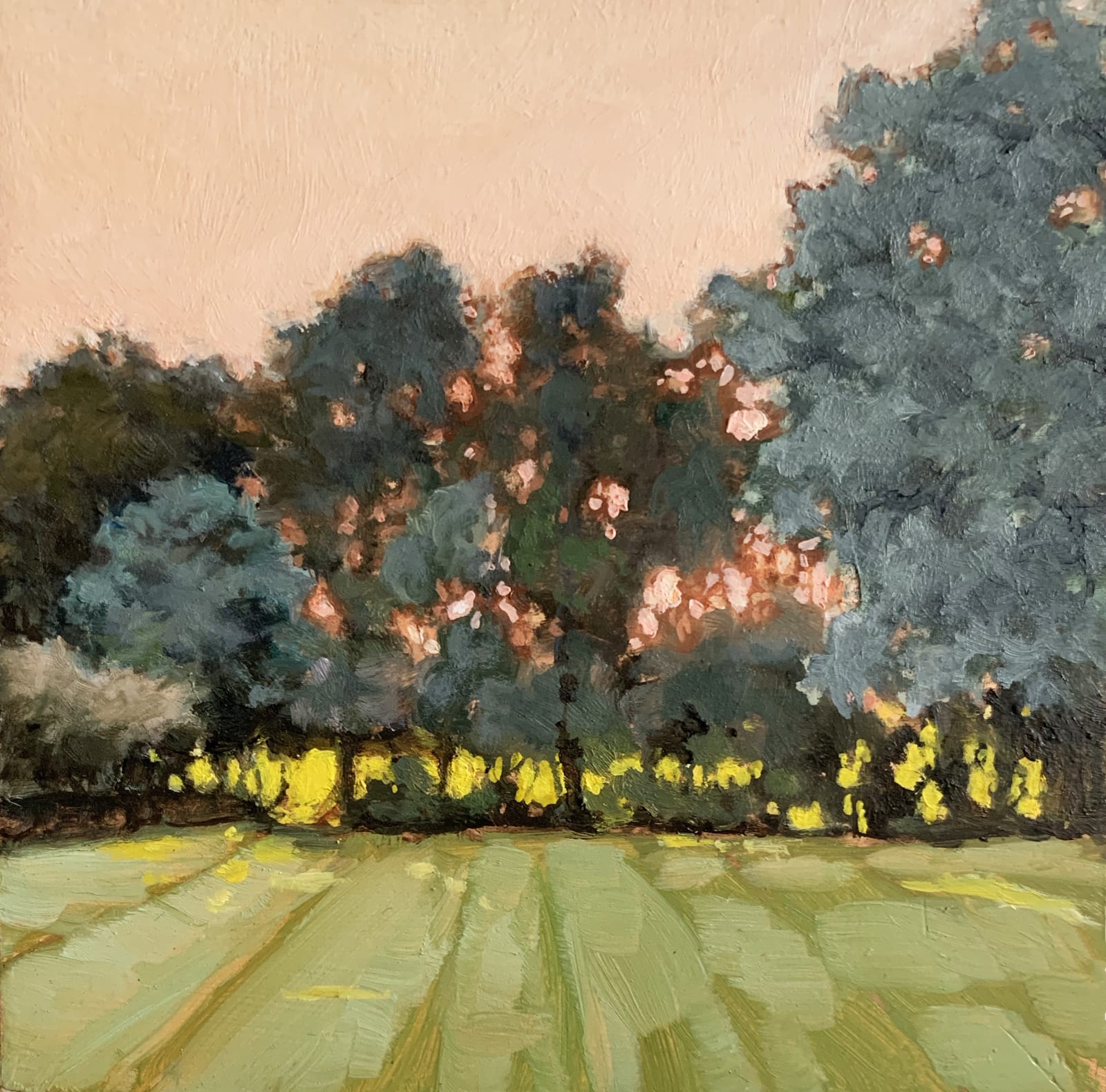 Sally Maca, Through the Hedges, 2019