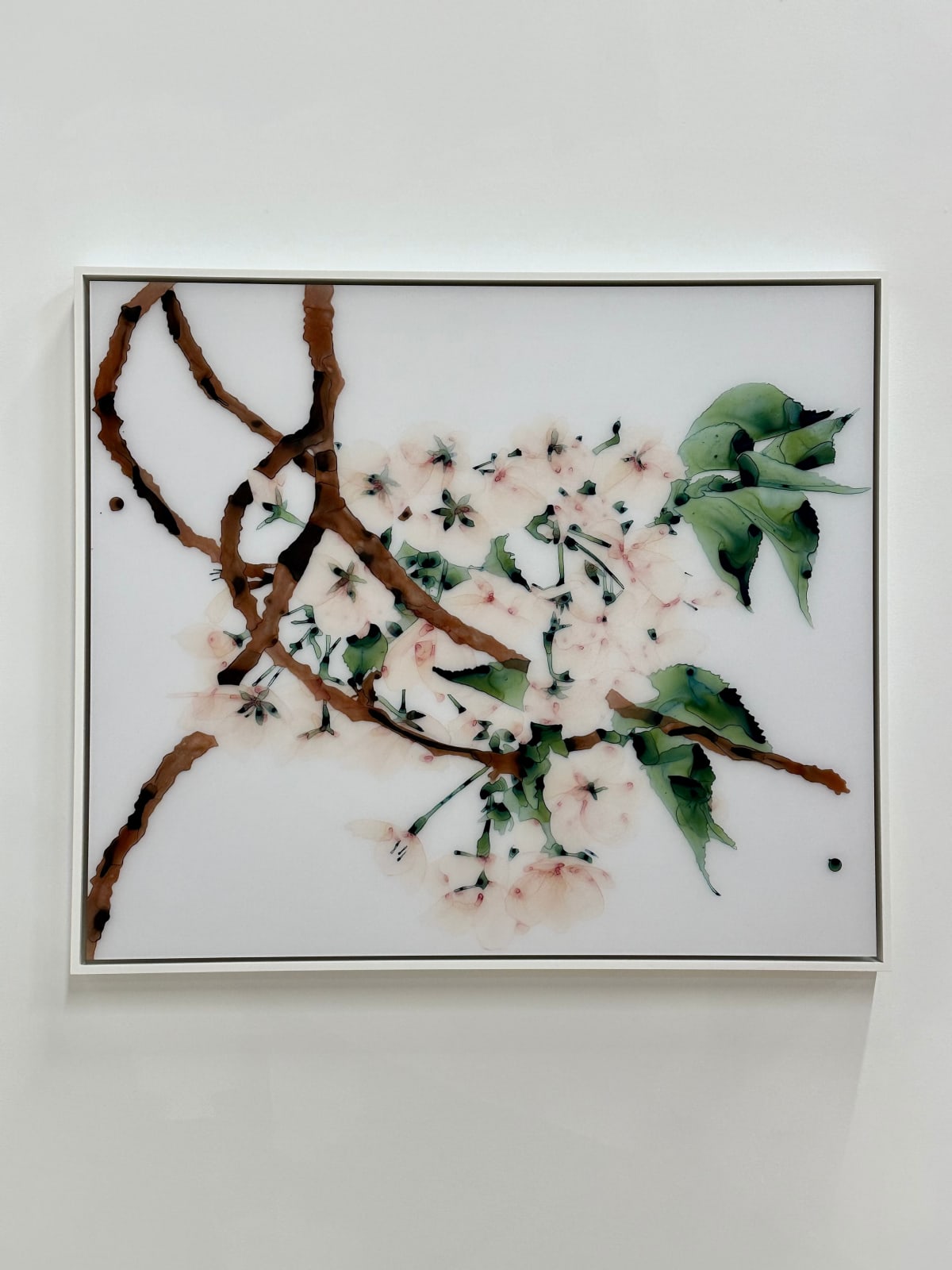 Jackie Battenfield, First Blush, 2023