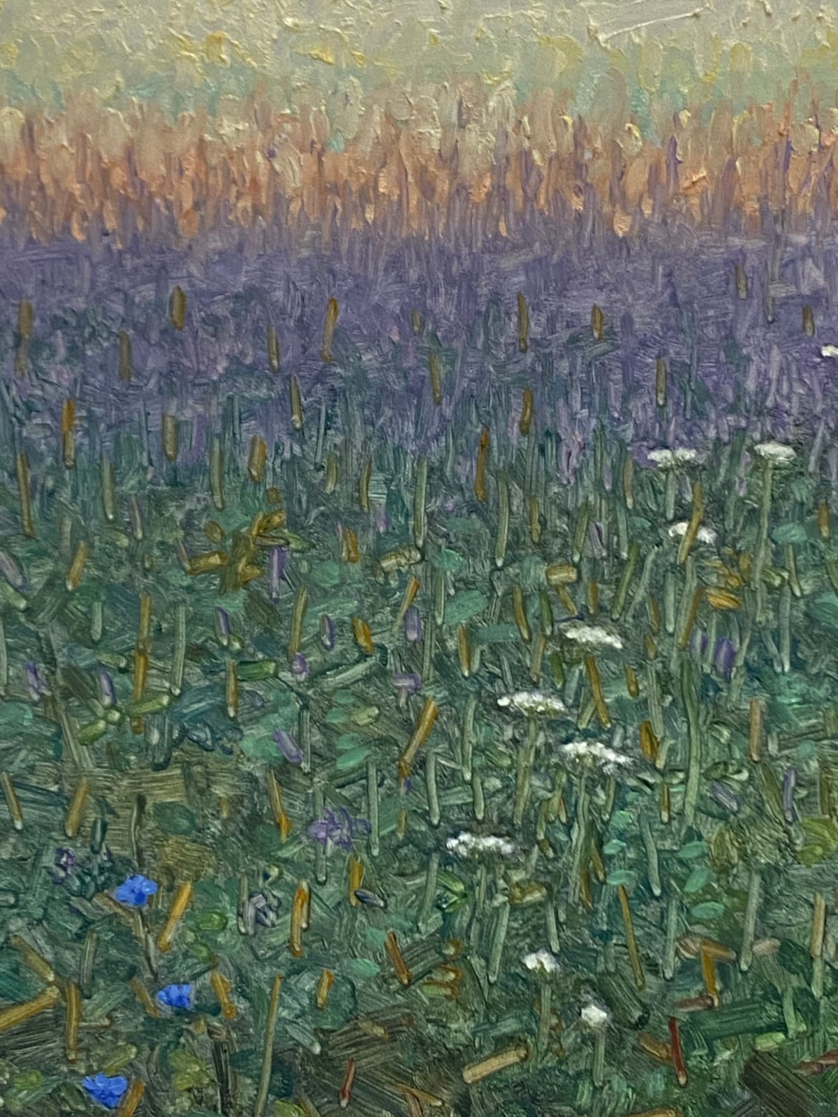 Thomas Sarrantonio, Field Painting August 3, 2022