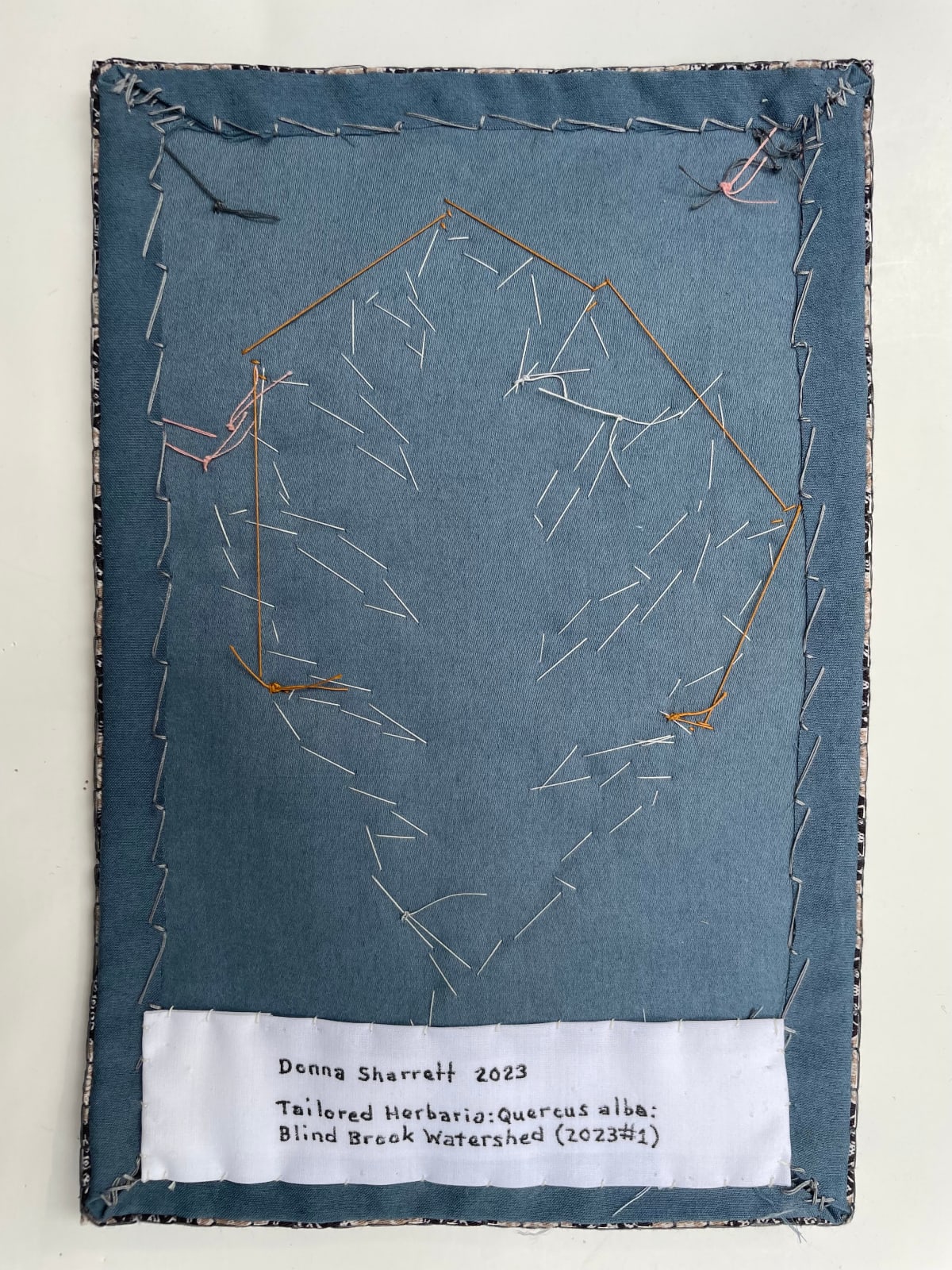 Donna Sharrett, Tailored Herbaria: Quercus alba: Blind Brook Watershed (2023 #1), 2023