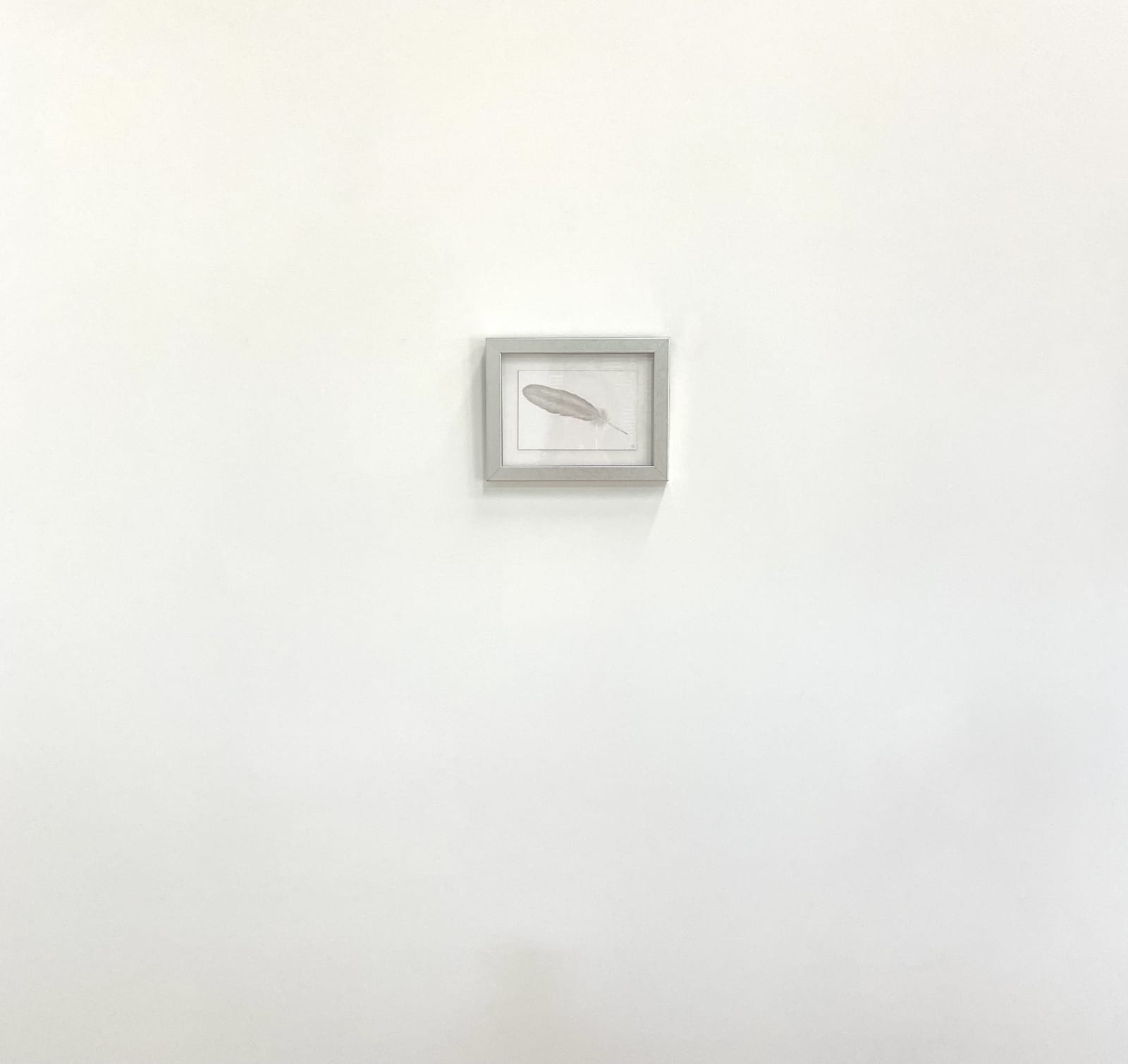 Margot Glass, Small Grey Feather, 2021