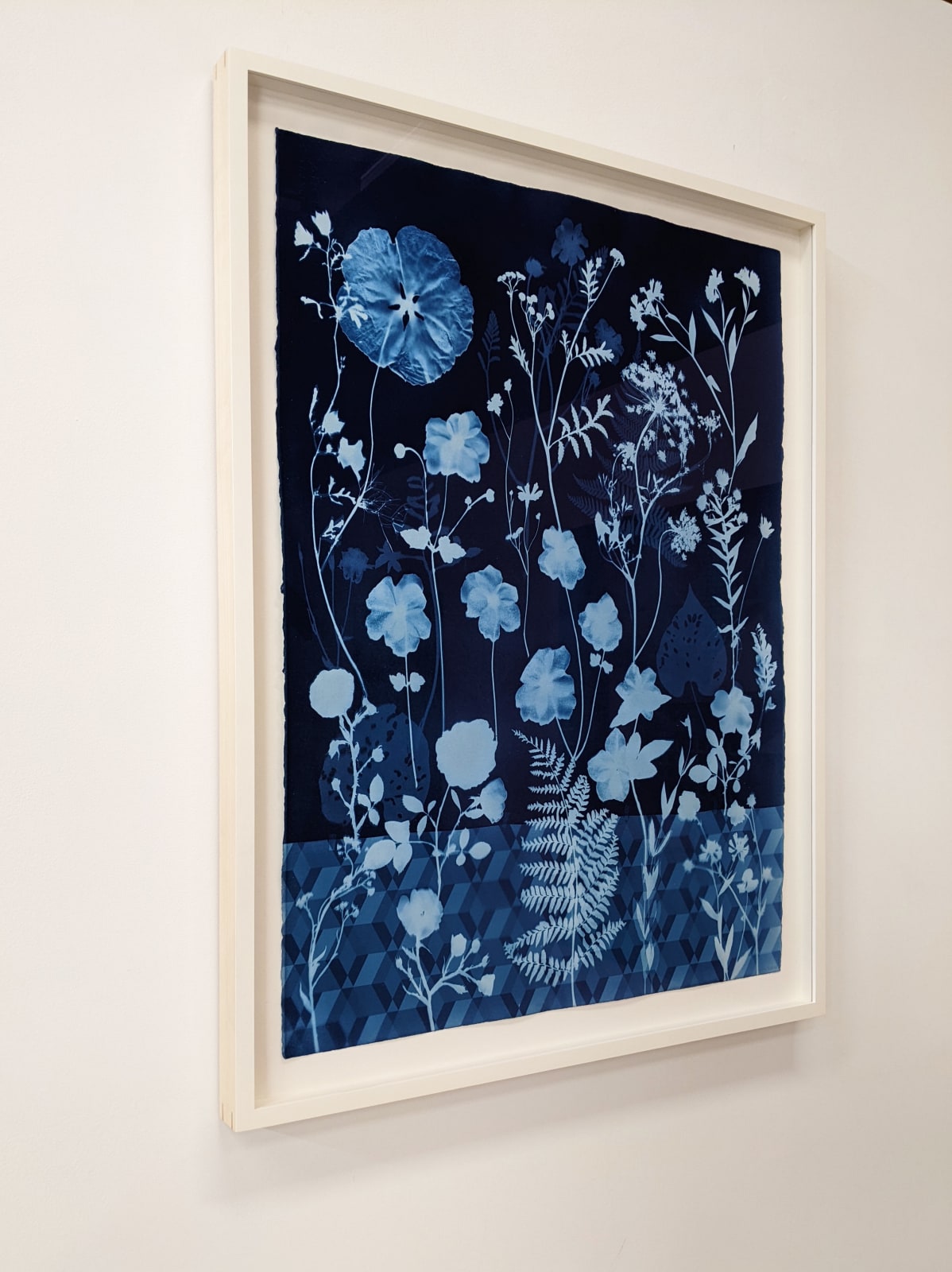 Julia Whitney Barnes, Cyanotype Painting (Anemones, Rose of Sharon, Queen Anne's Lace, Floor Pattern), 2021