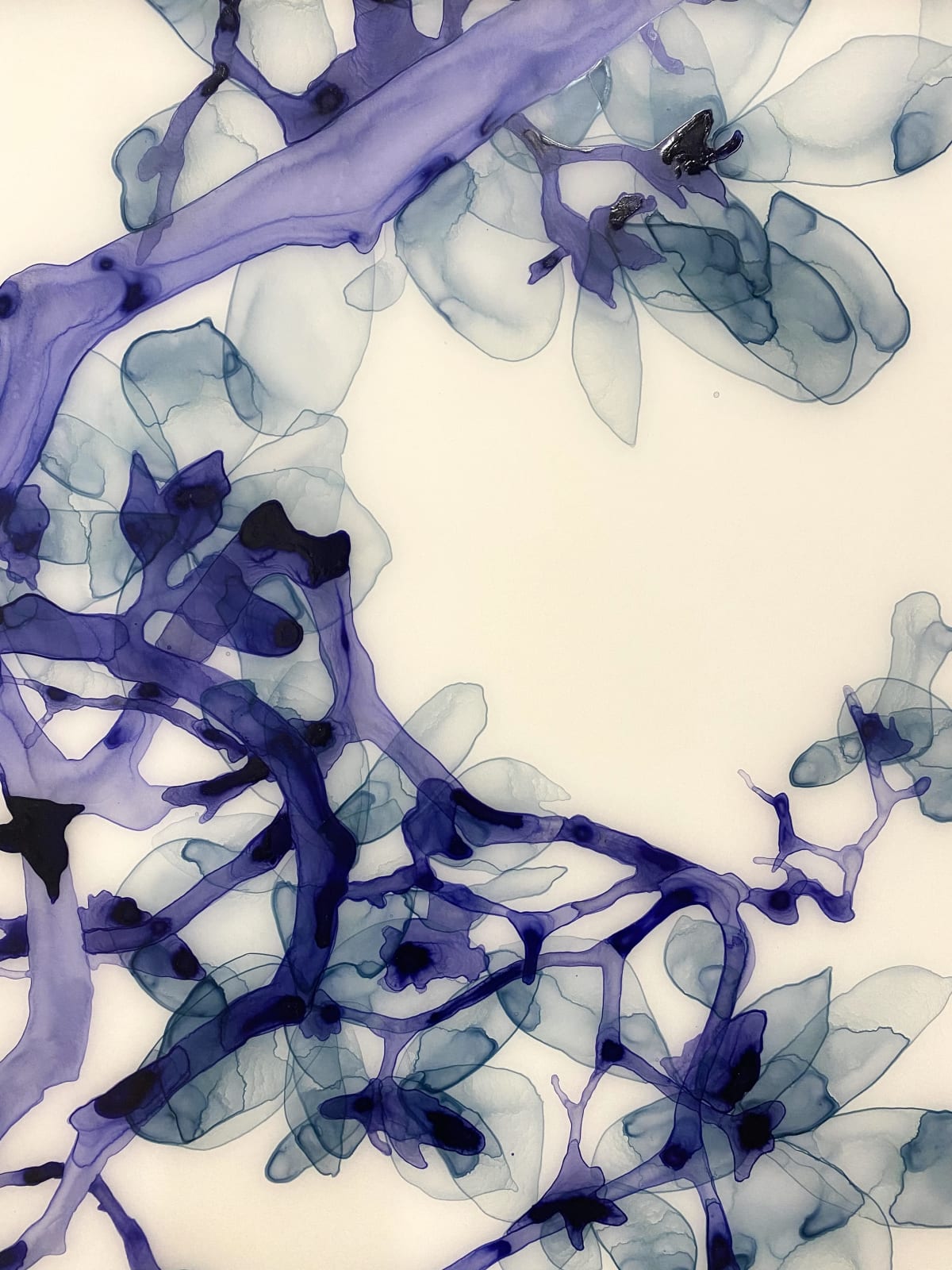 Jackie Battenfield, Sotto voce cs1, 2012