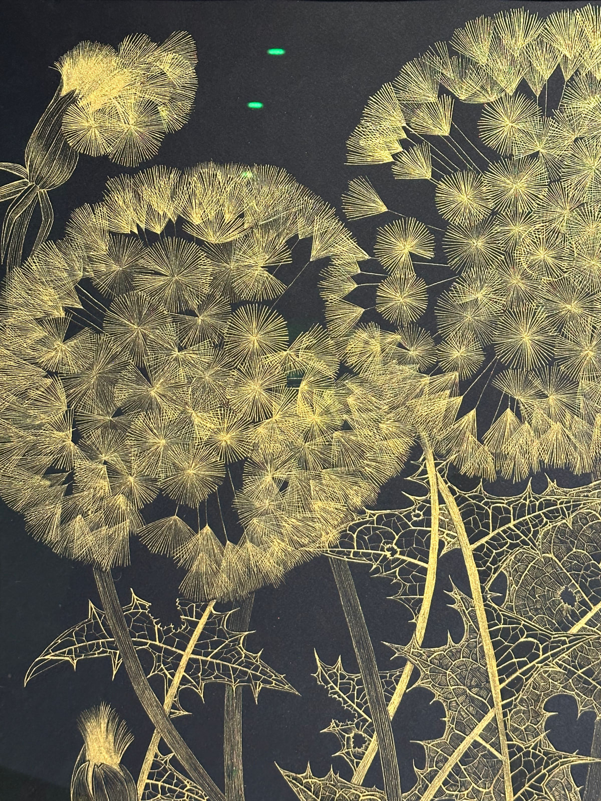 Margot Glass, Large Dandelion 6, 2023