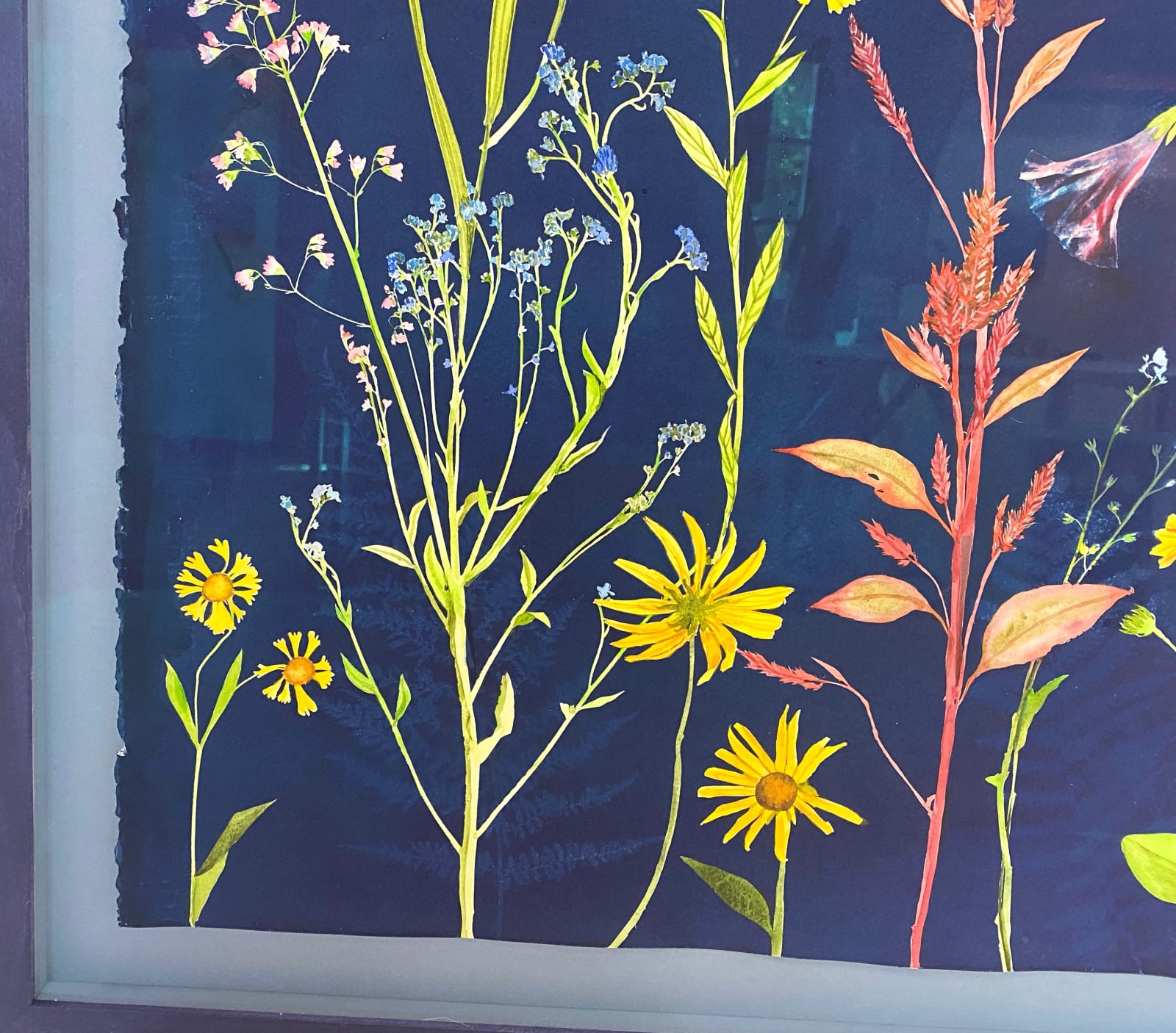 Julia Whitney Barnes, Cyanotype Painting (Morning Glories, Rose of Sharon, Hellenium, Swallowtail, etc.), 2021