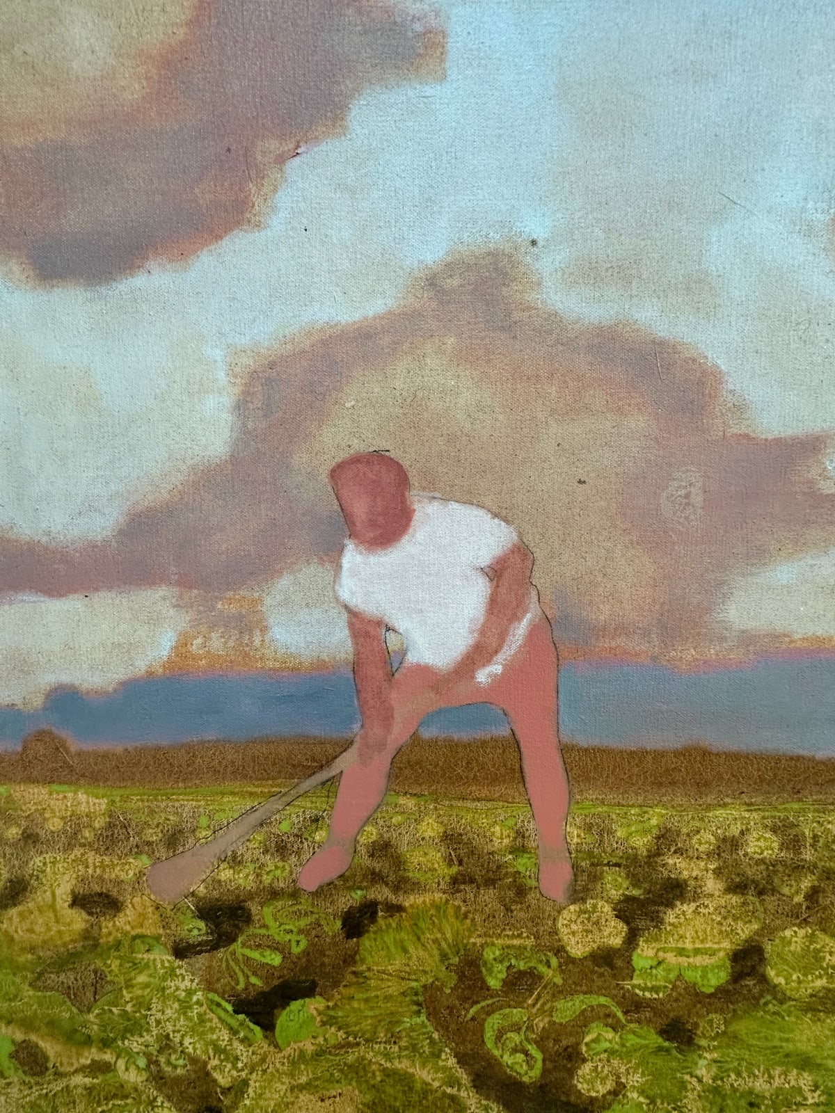 David Konigsberg, Cabbage Field, 2023