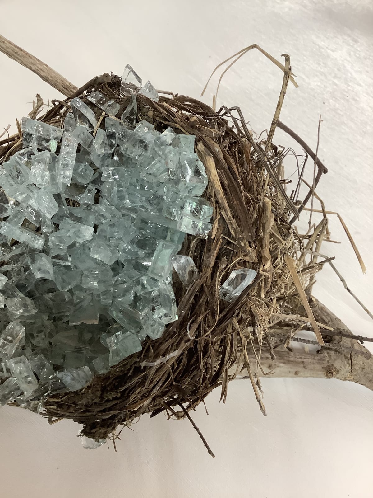 Christine Aaron, No Safety Ne(s)t, 2018