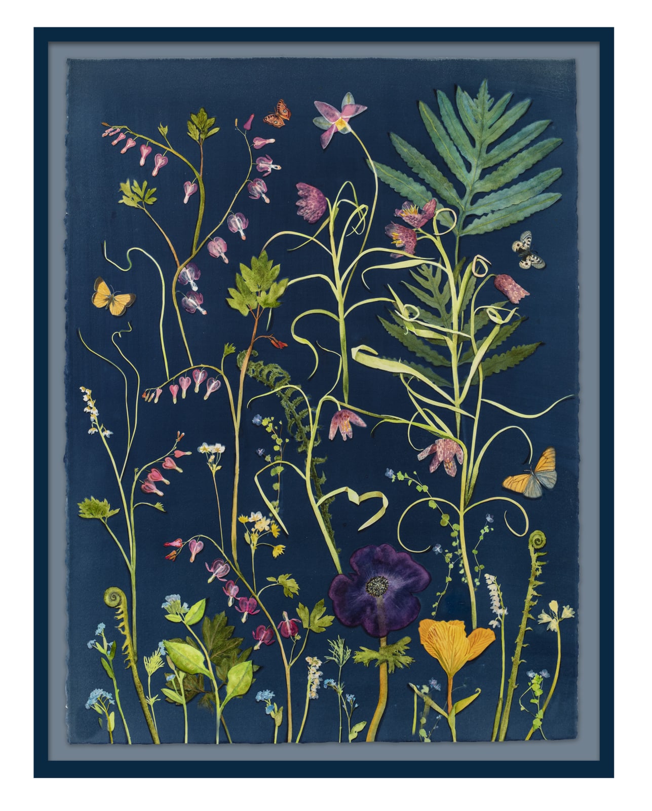 Julia Whitney Barnes, Cyanotype Painting (Bleeding Hearts, Fritillaria, Ferns, Pollinators, 2021