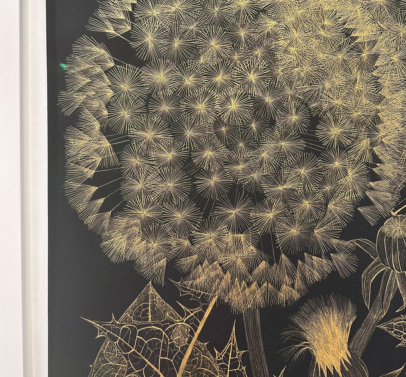 Margot Glass, Large Dandelion 7, 2023