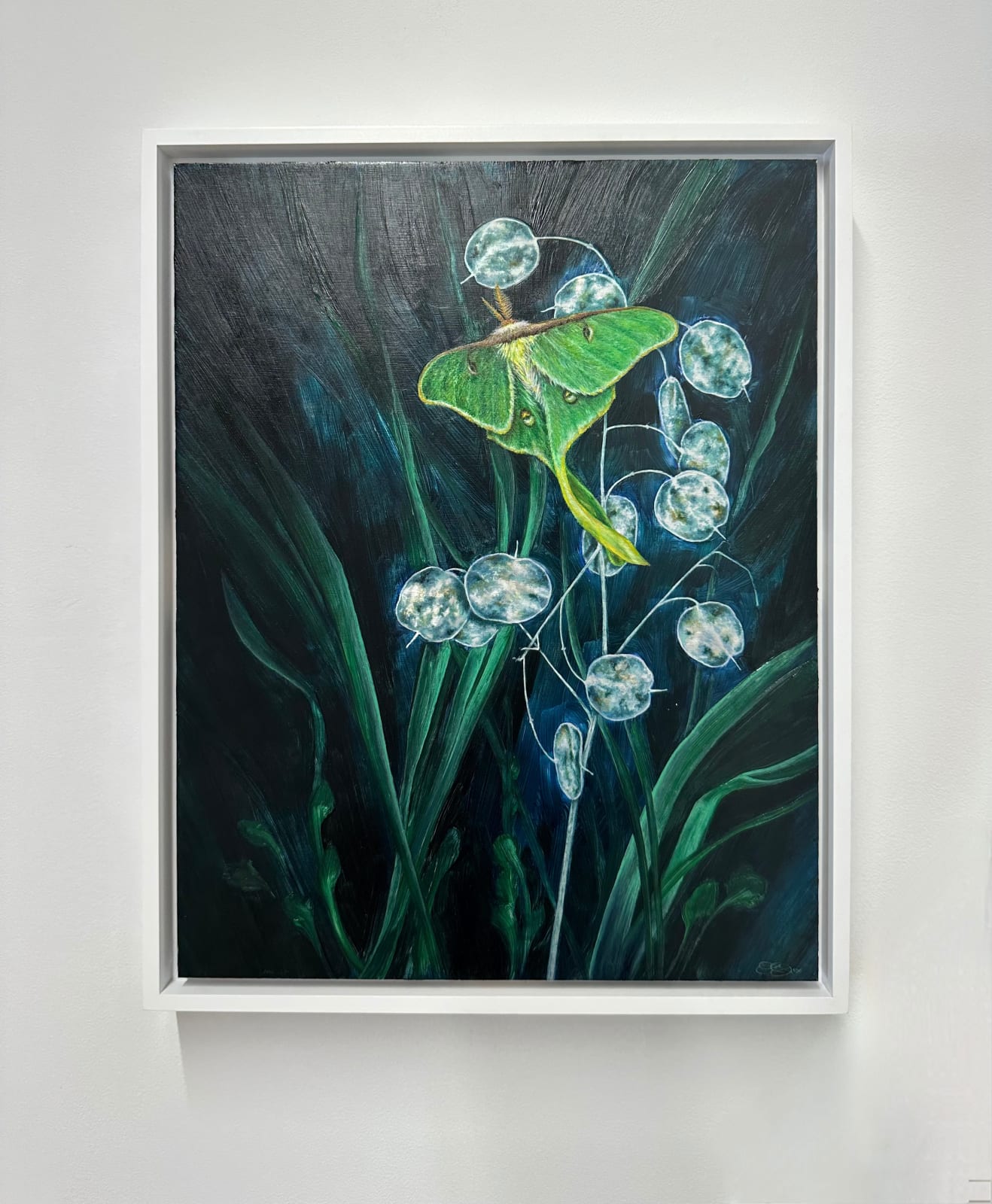 Francine Fox, A Week's Worth, 2023