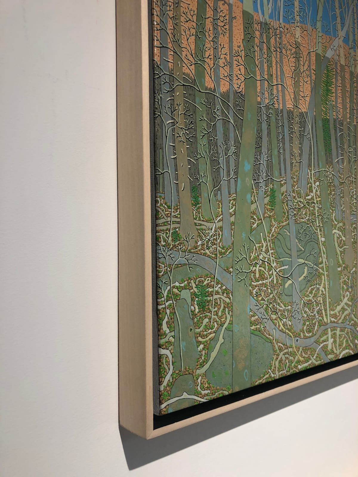 Gregory Hennen, Wyatt Mountain Shadow February, 2012