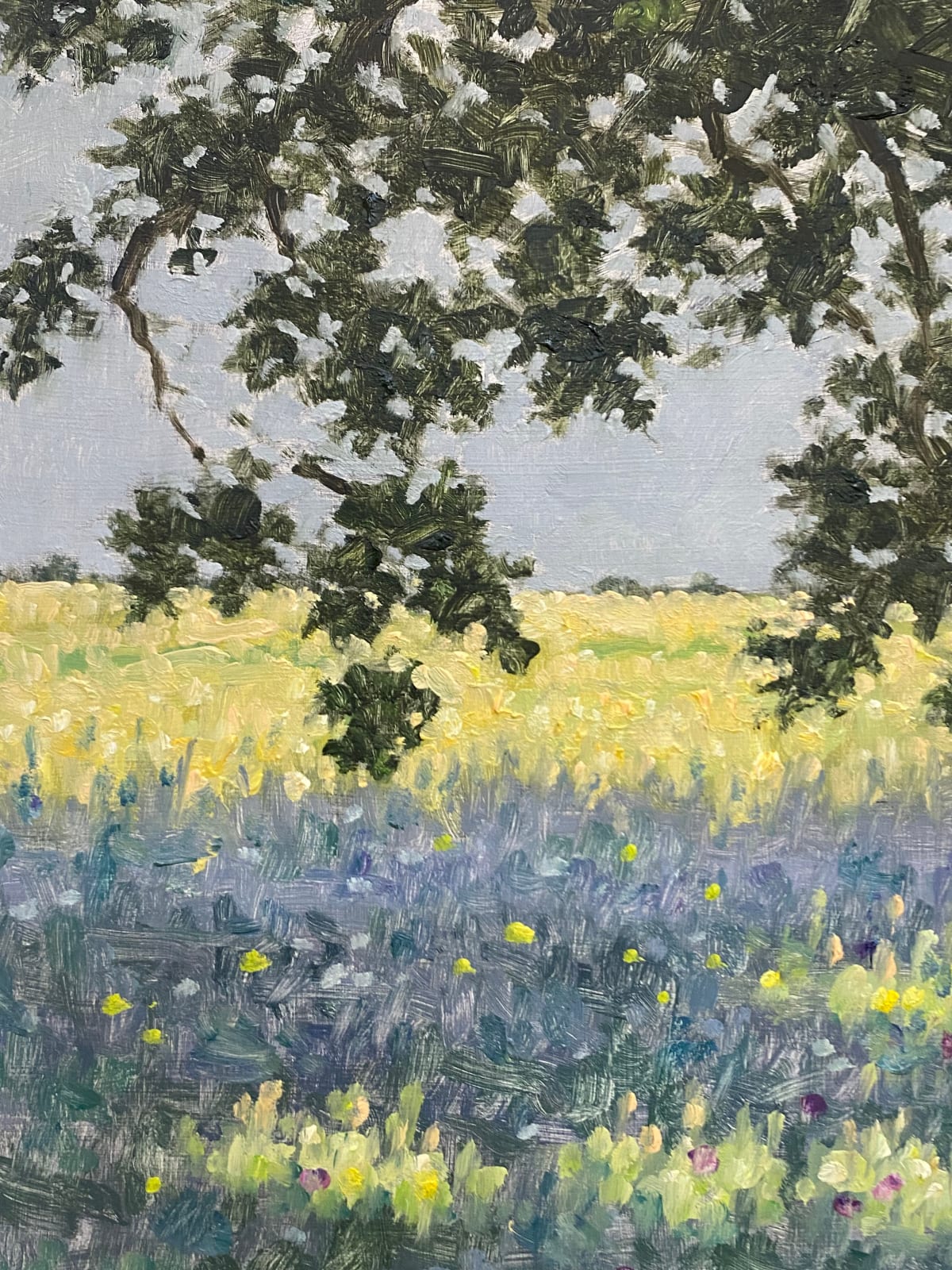 Thomas Sarrantonio, Field Painting June 15, 2022