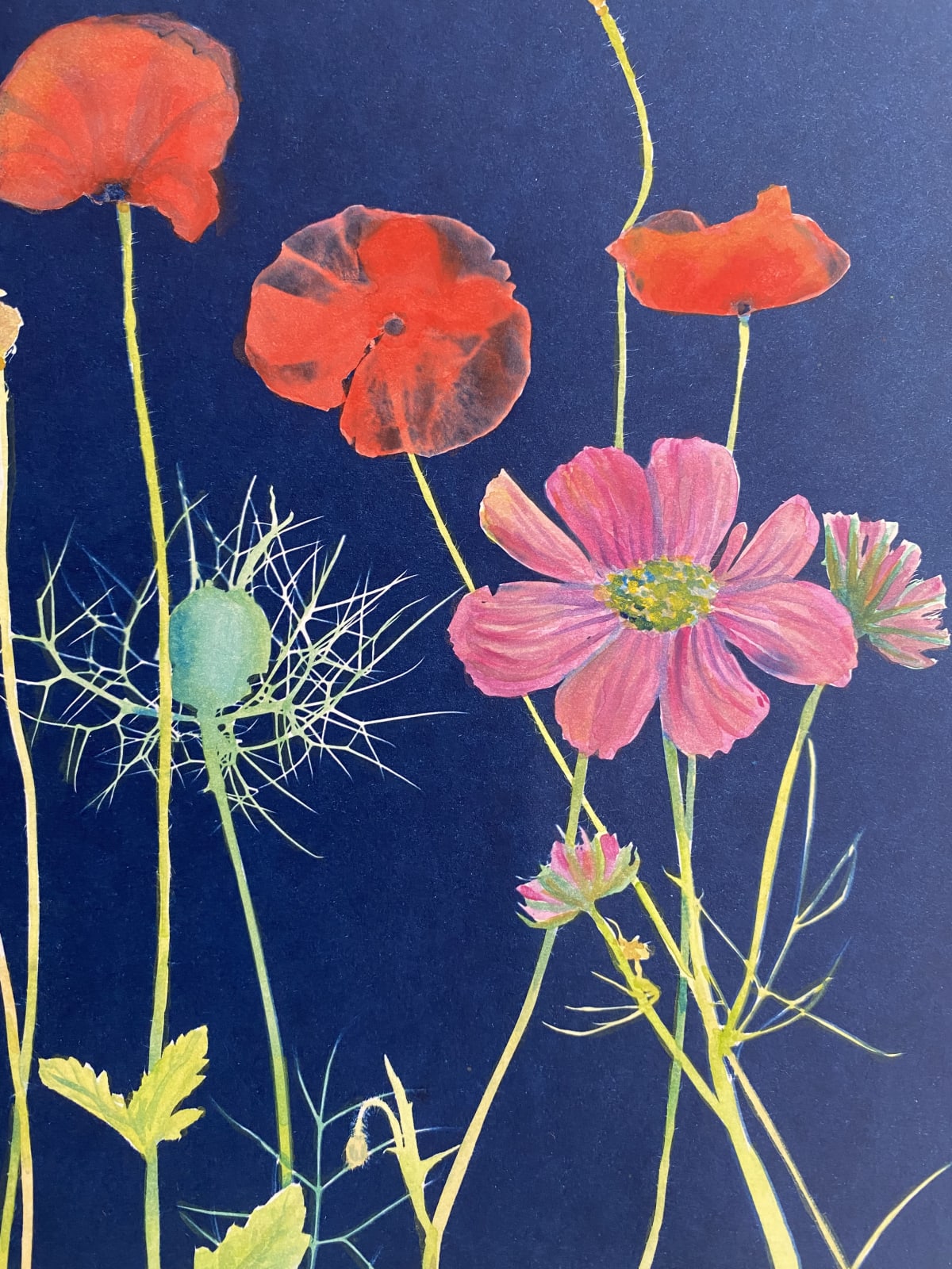 Julia Whitney Barnes, Cyanotype Painting (Poppies 2), 2020