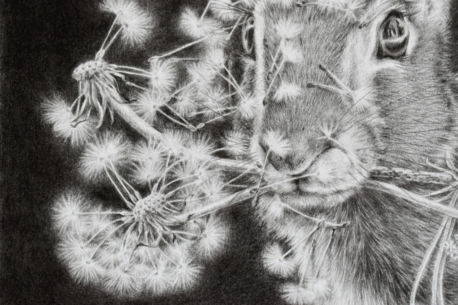 Francine Fox, Multiply and Divide, 2023