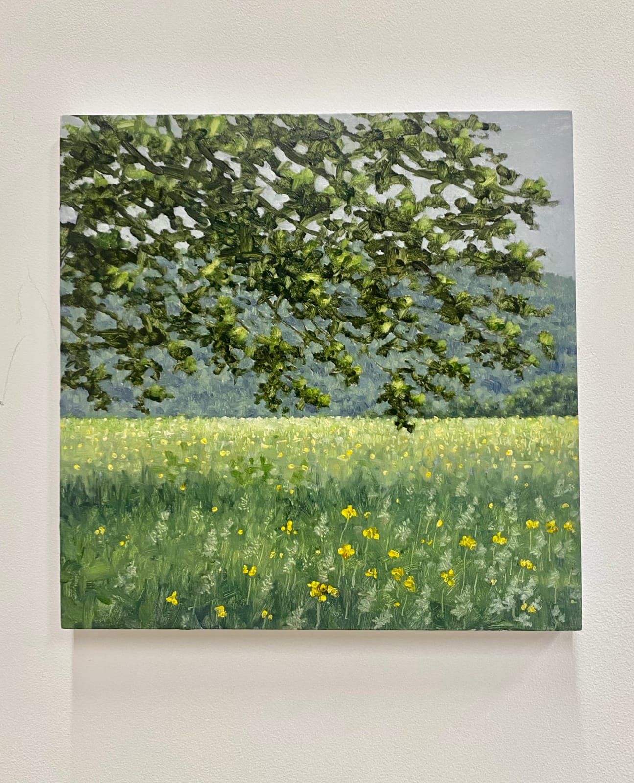 Thomas Sarrantonio, Field Painting June 4, 2021