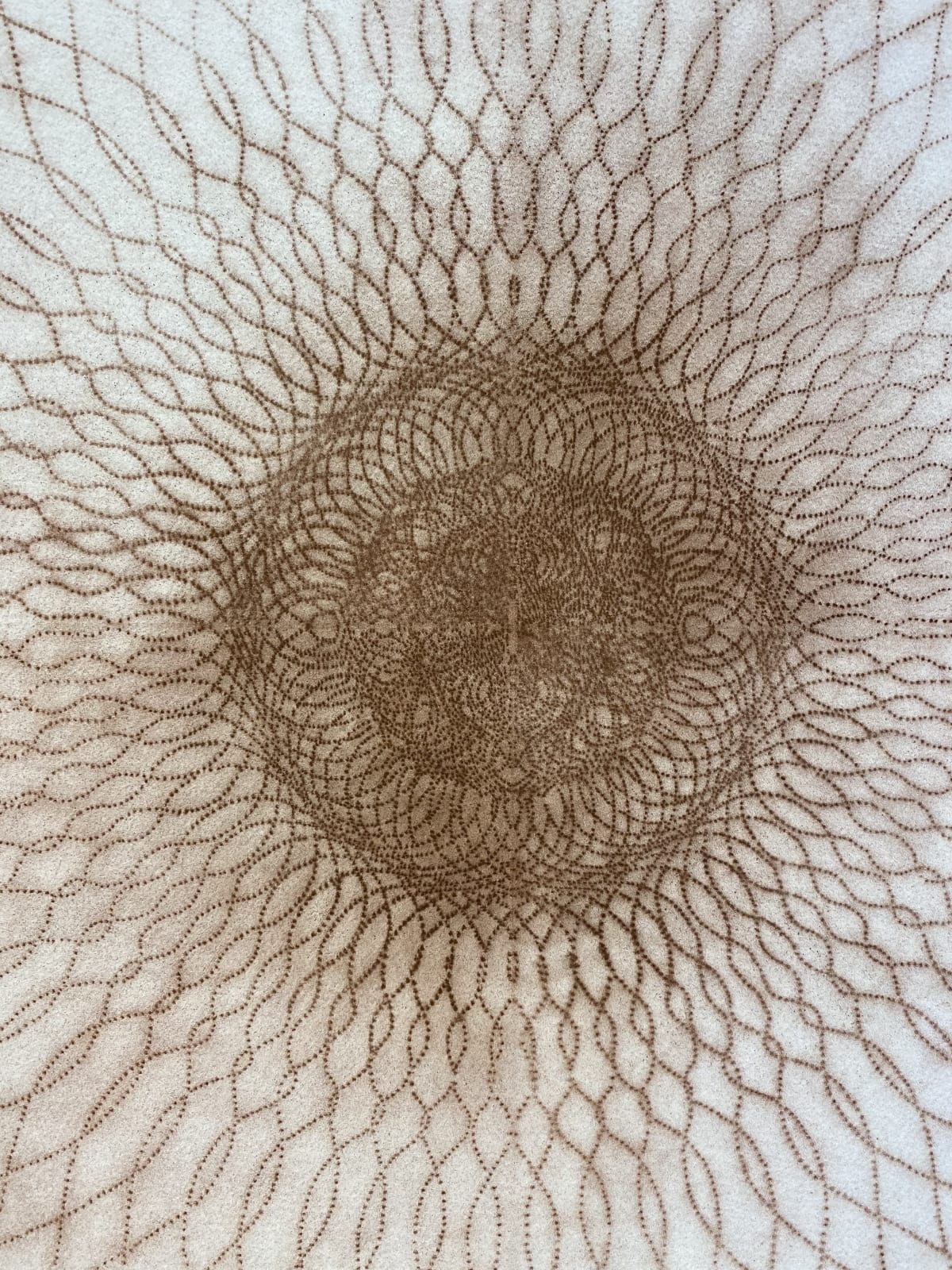 Mary Judge, Exotic Hex Series, 112/07, 2007