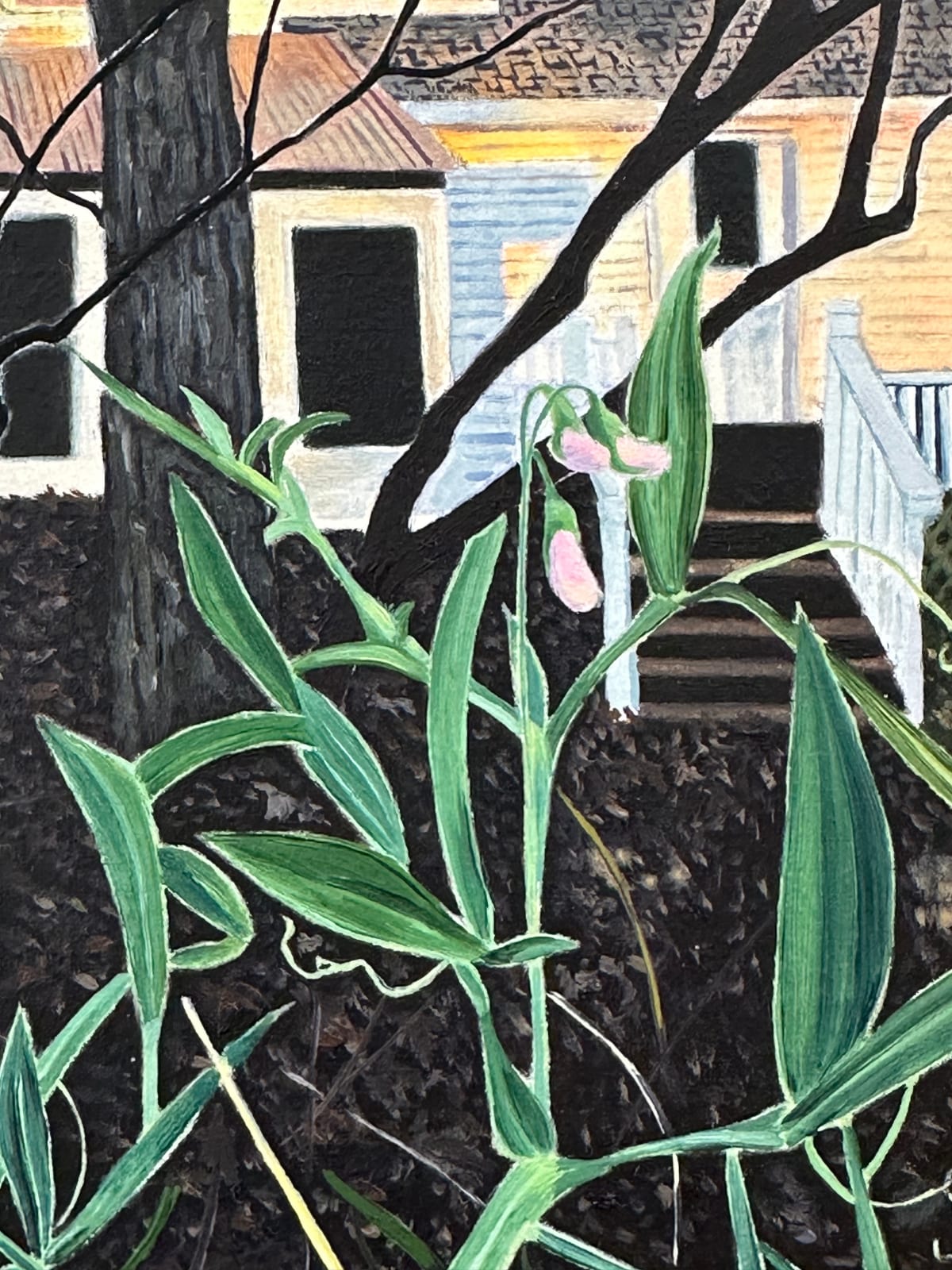 Amanda Acker, November Bloom, 2023