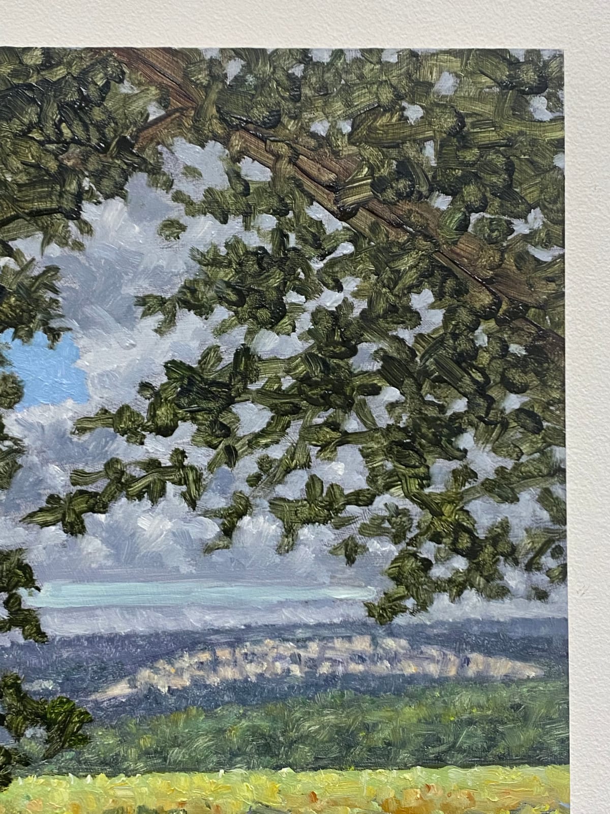 Thomas Sarrantonio, Field Painting July 19, 2021