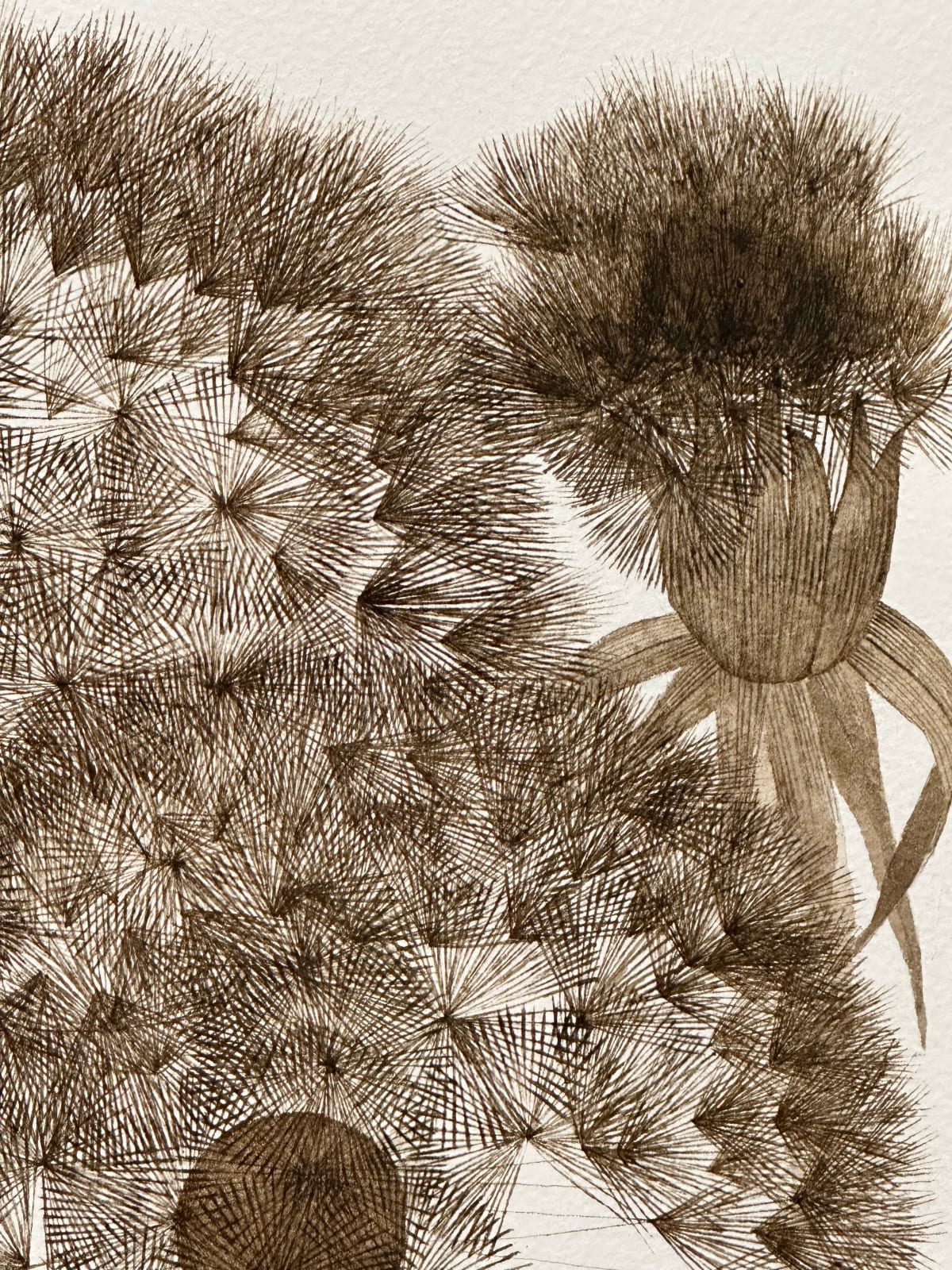 Margot Glass, Three Dandelions with Buds, 2024
