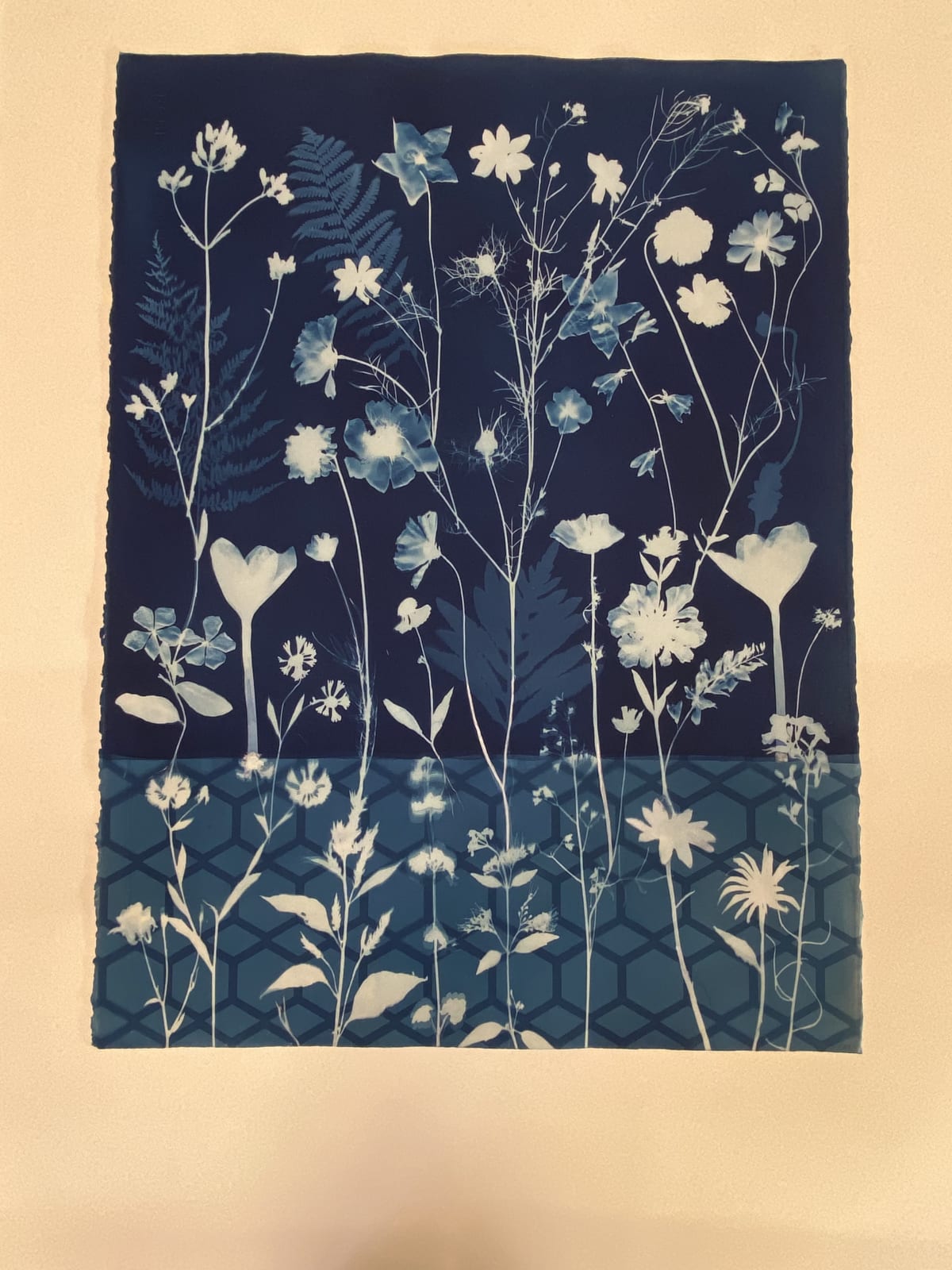 Julia Whitney Barnes, Cyanotype Painting (Crocus, Star Flower, Cosmos, Ferns, Diamond Hexagon Floor Pattern), 2021