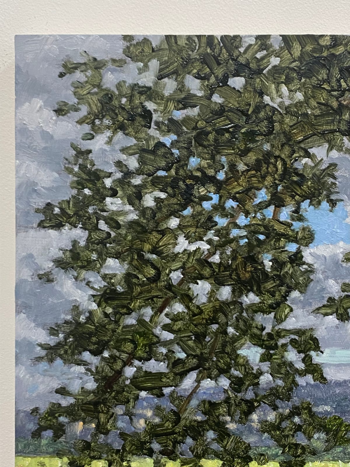 Thomas Sarrantonio, Field Painting July 19, 2021