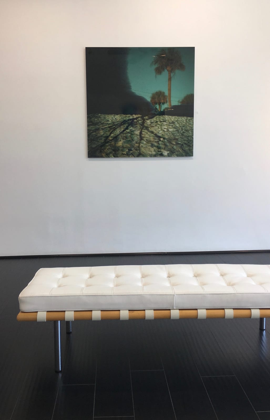 Mark Bartkiw, Fusion, 2019