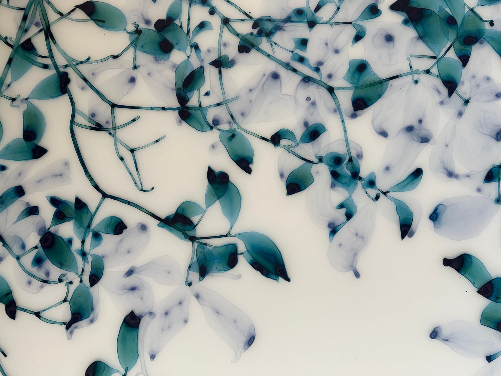 Jackie Battenfield, April Moon, 2023