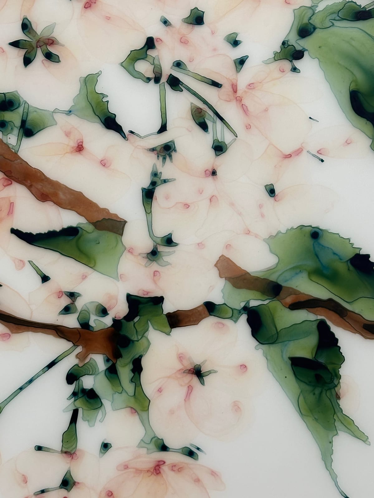 Jackie Battenfield, First Blush, 2023