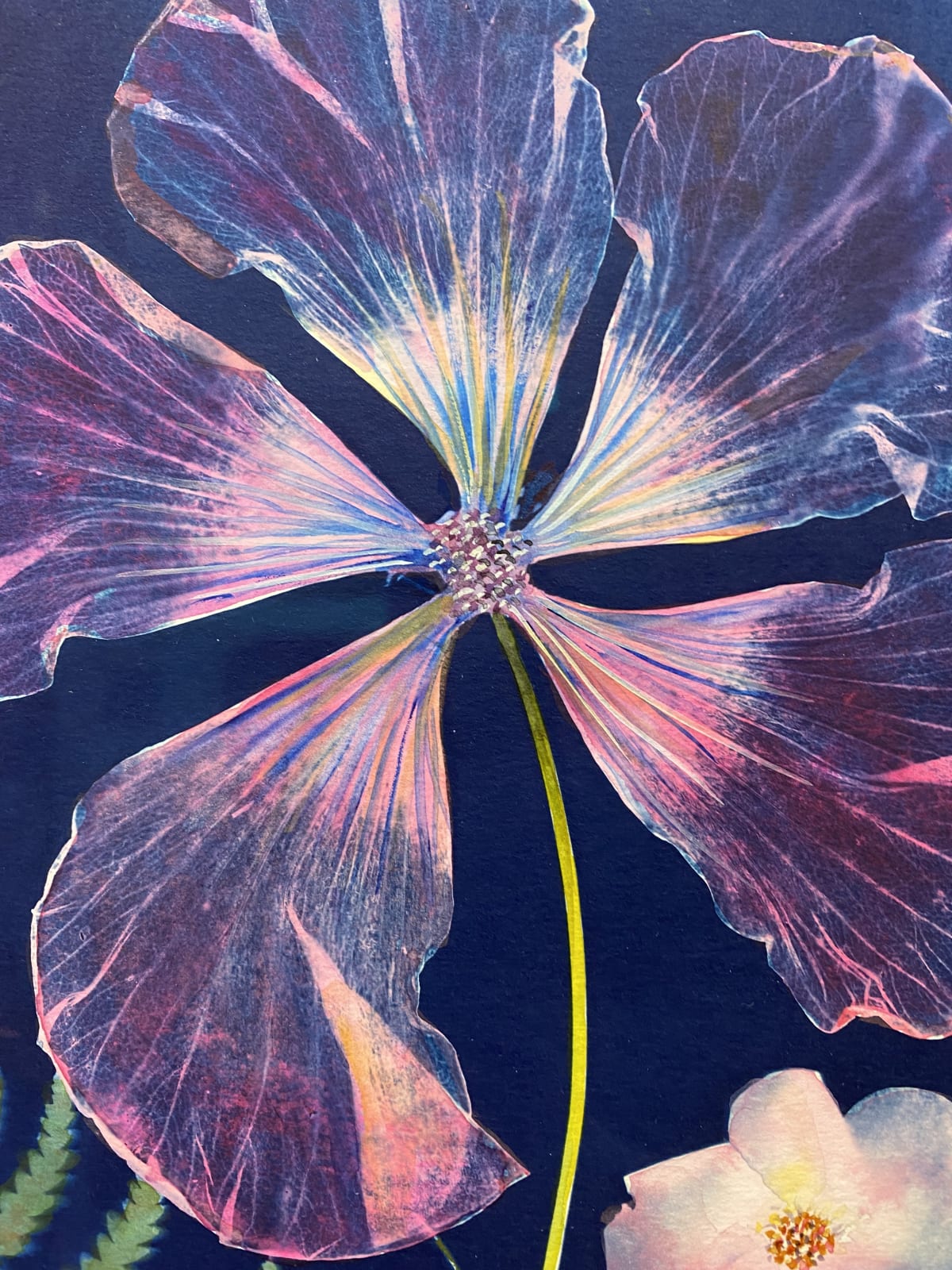 Julia Whitney Barnes, Cyanotype Painting (Hibiscus, Fern, Rose), 2020-2021