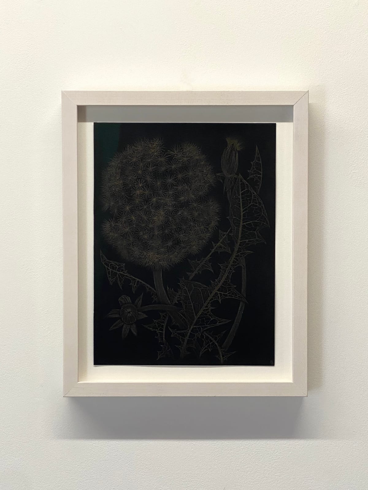 Margot Glass, Dandelion with Two Buds, 2022