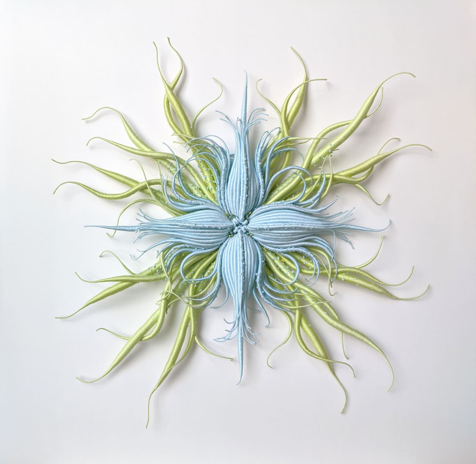 Catherine Latson, Specimen #20, 2020