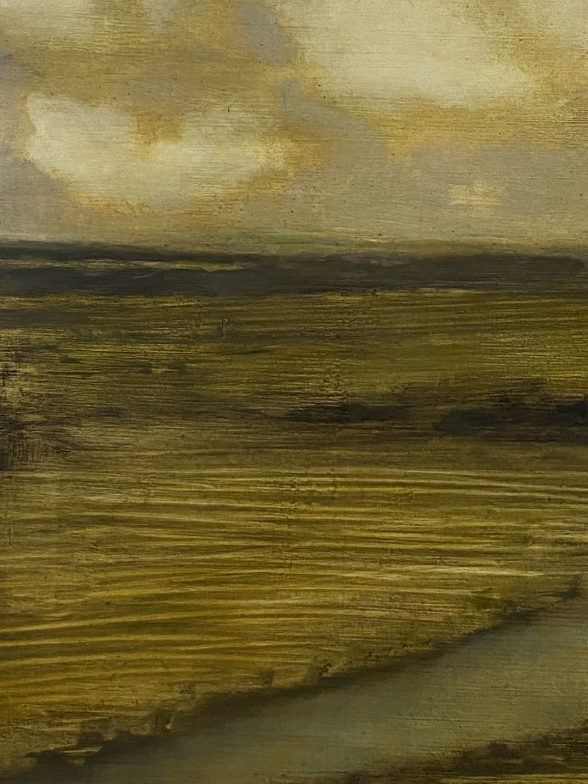 David Konigsberg, Field (with Creek), 2019
