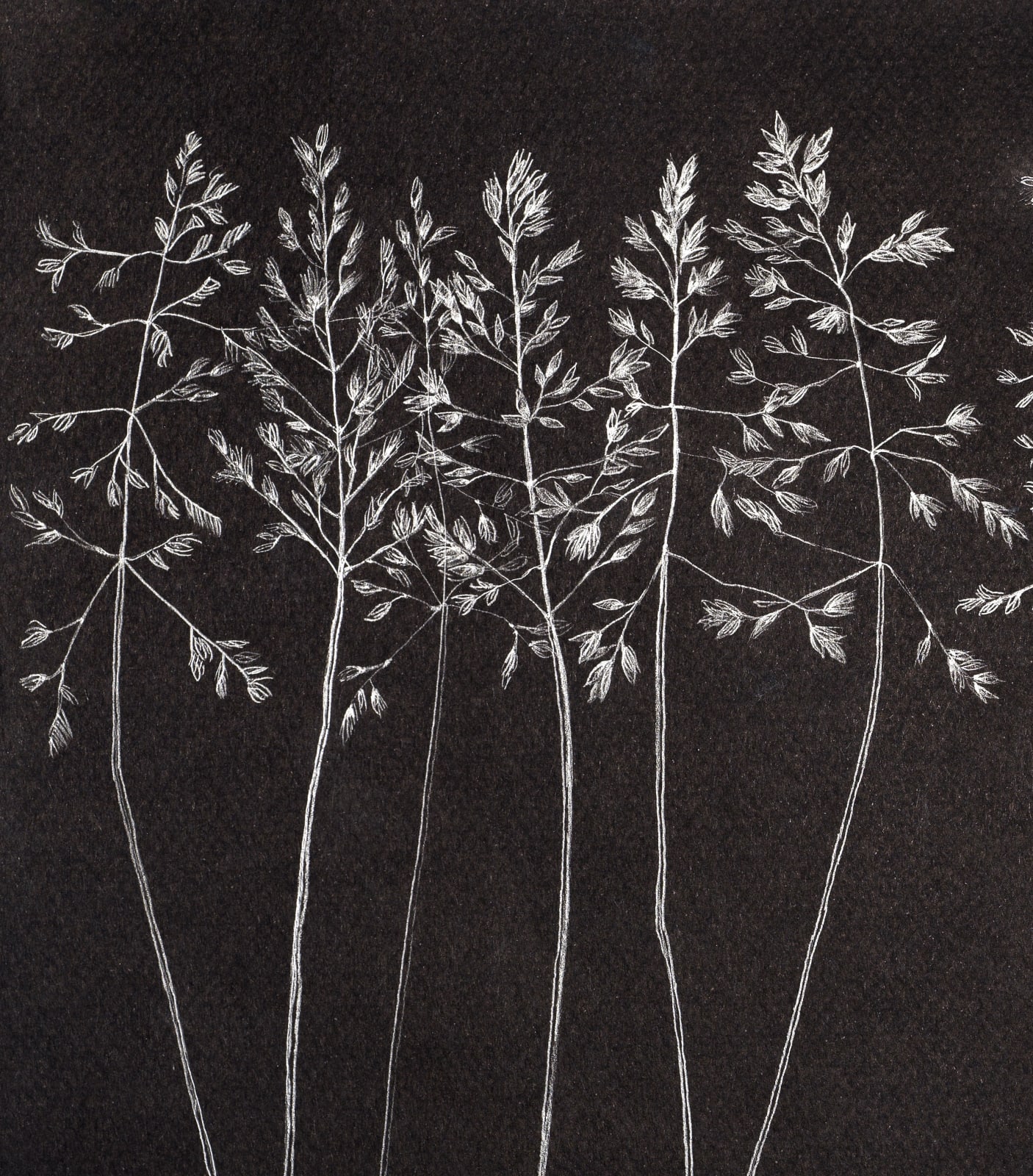 Margot Glass, Grasses 2, 2019