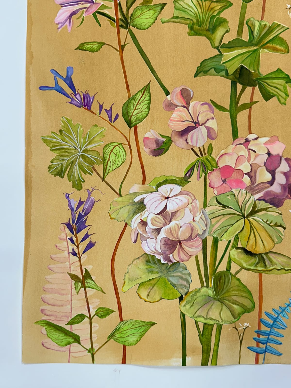 Julia Whitney Barnes, Luminous Nature (Geraniums Hummingbird Ferns, etc.), 2021-'22