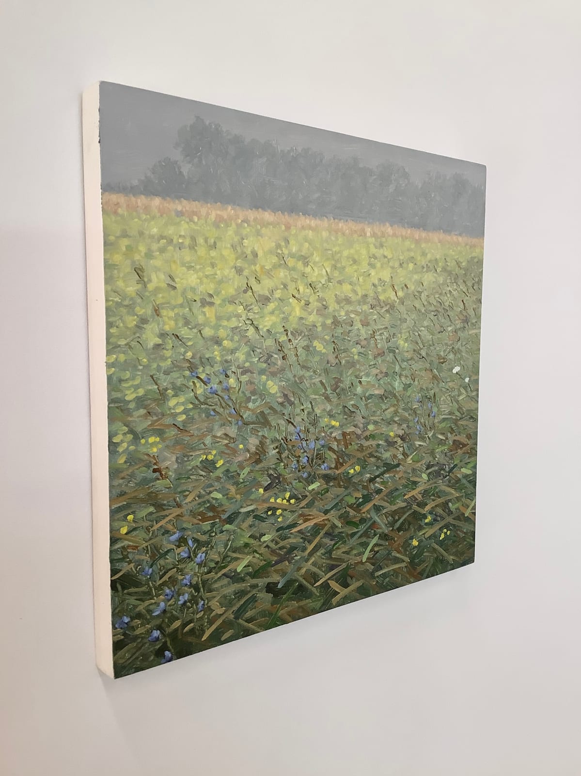 Thomas Sarrantonio, Translation, 2017