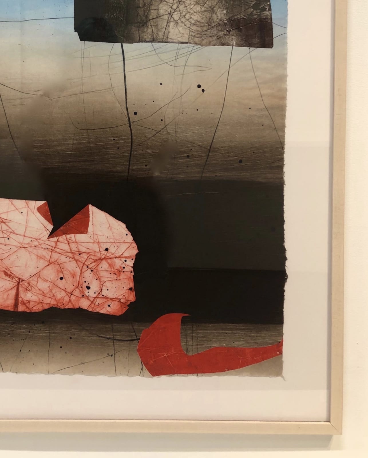 David Collins, Coral Coulee, 2005