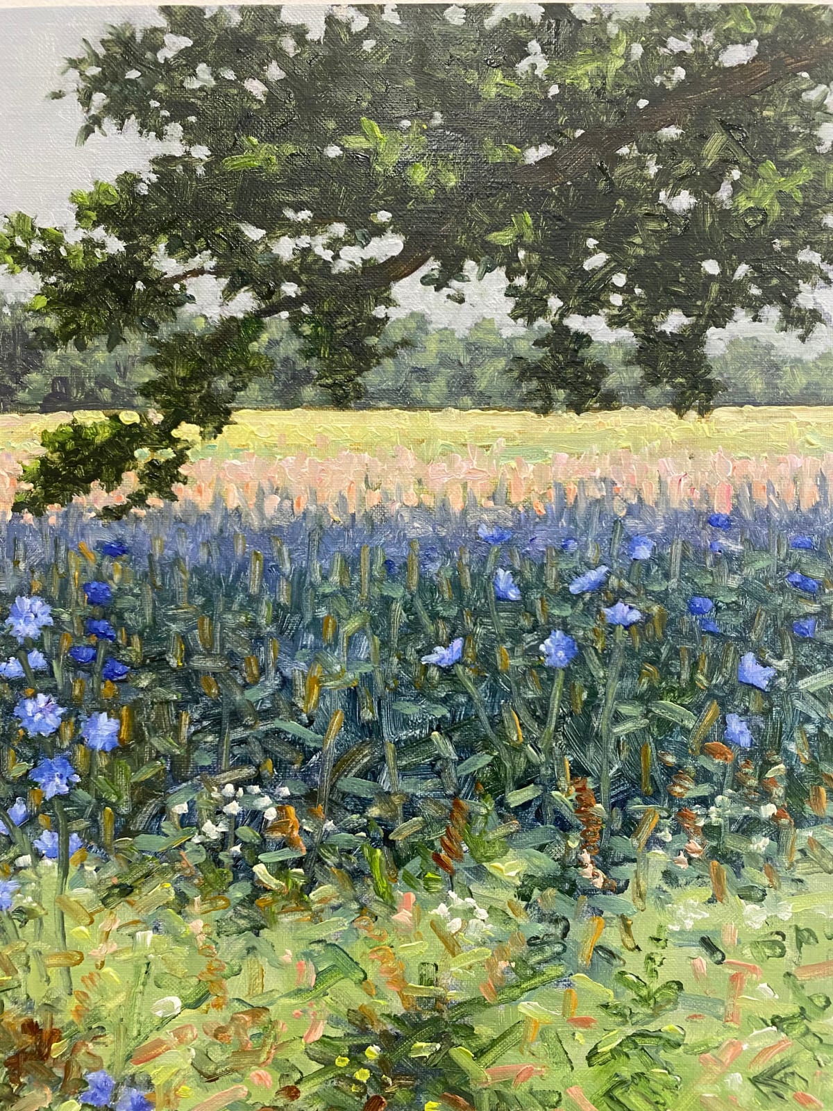 Thomas Sarrantonio, Field Painting July 8, 2022