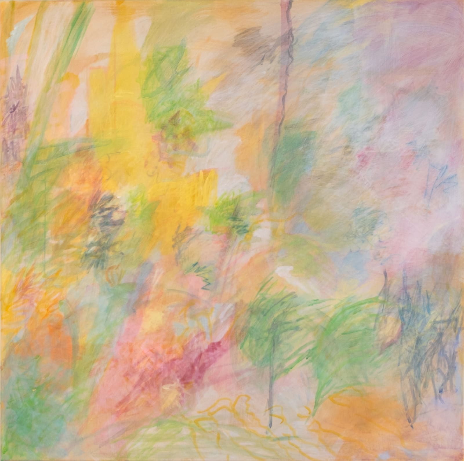 Nancy Daubenspeck, July, 2017