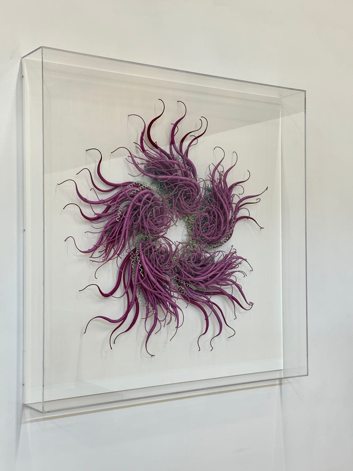 Catherine Latson, Specimen #21, 2020